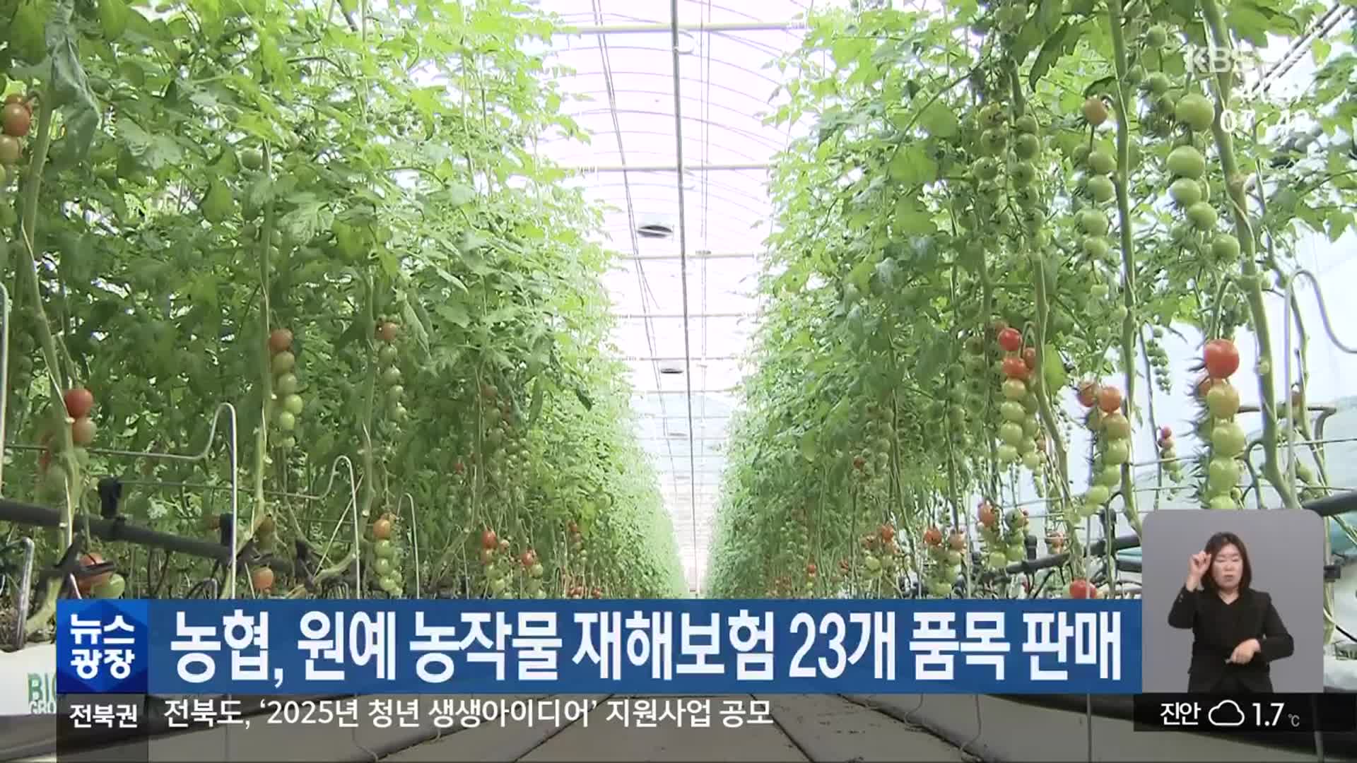 농협, 원예 농작물 재해보험 23개 품목 판매