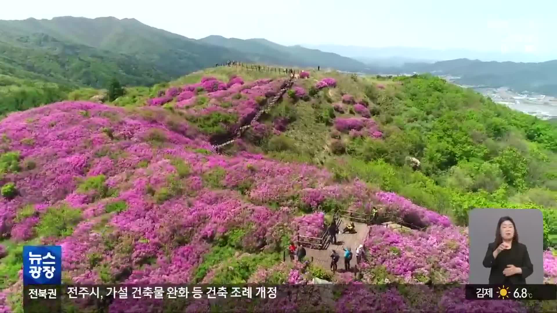 [전북의 창] “한 달 내내 철쭉”…남원 지리산 바래봉 철쭉제 개최