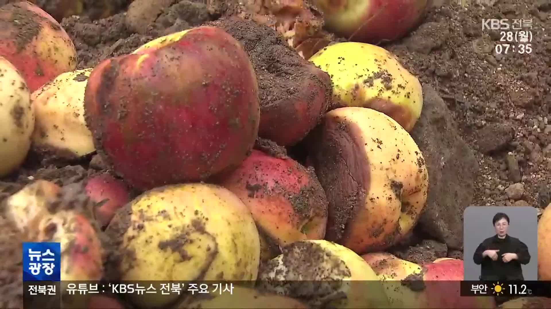 기후변화 속 농작물 재해보험 보상 ‘찔끔’…“공적보험 전환해야”