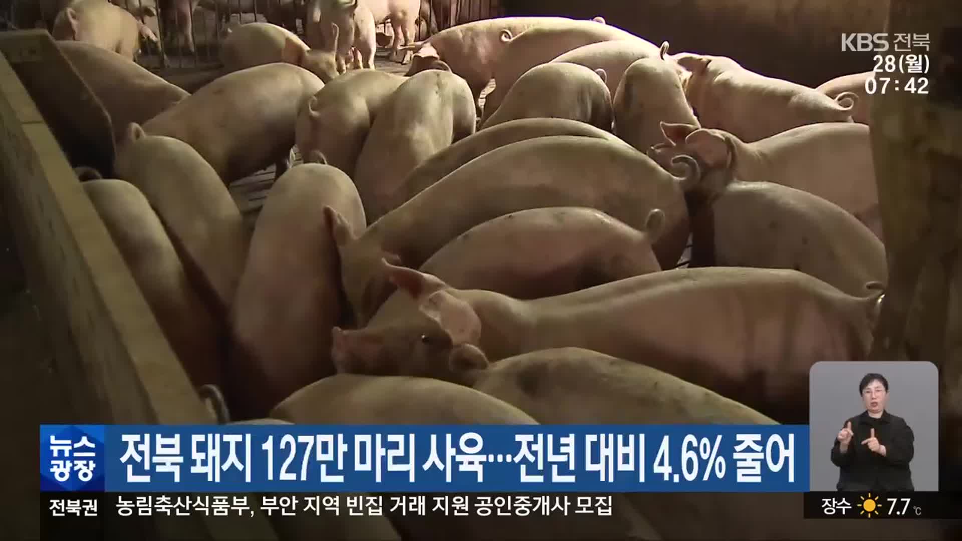 전북 돼지 127만 마리 사육…전년 대비 4.6% 줄어