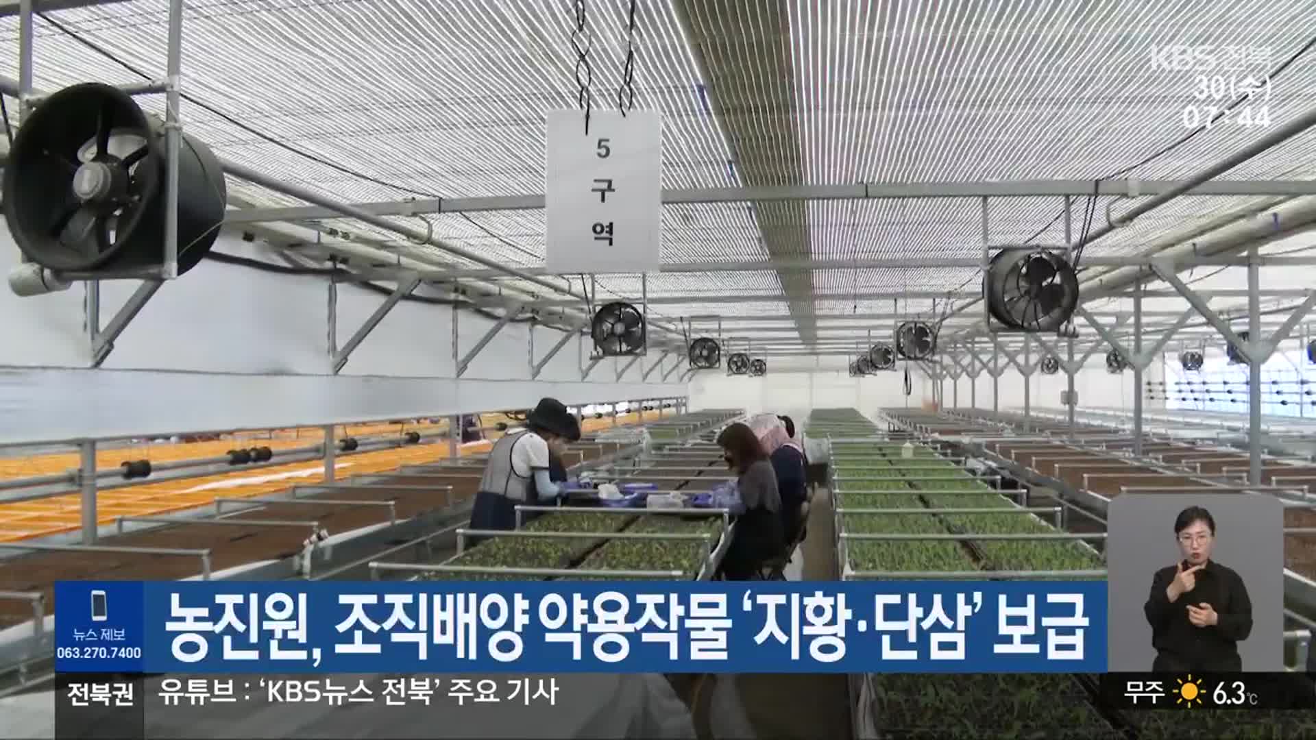 농진원, 조직배양 약용작물 ‘지황·단삼’ 보급
