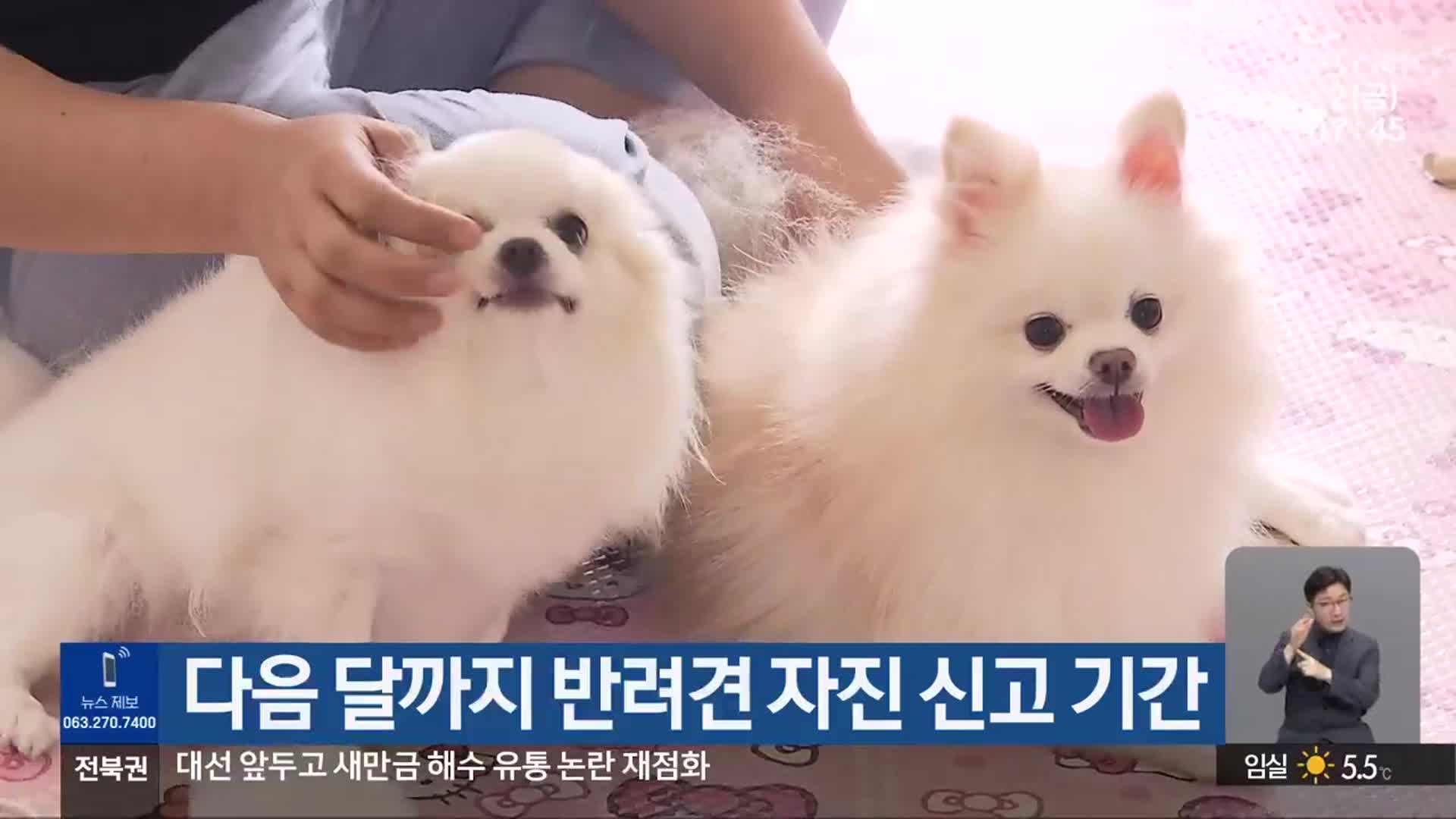 다음 달까지 반려견 자진 신고 기간