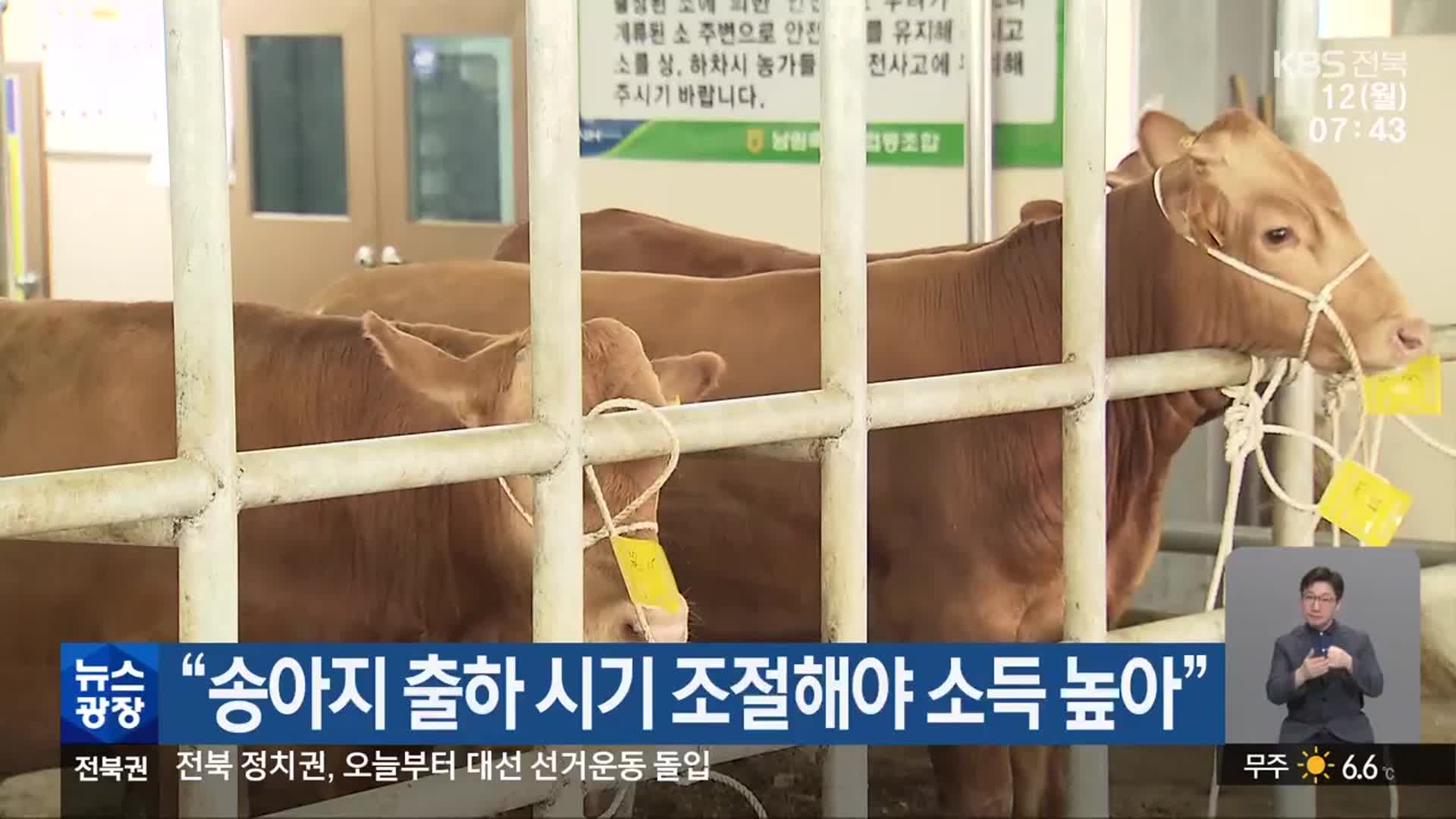 “송아지 출하 시기 조절해야 소득 높아”