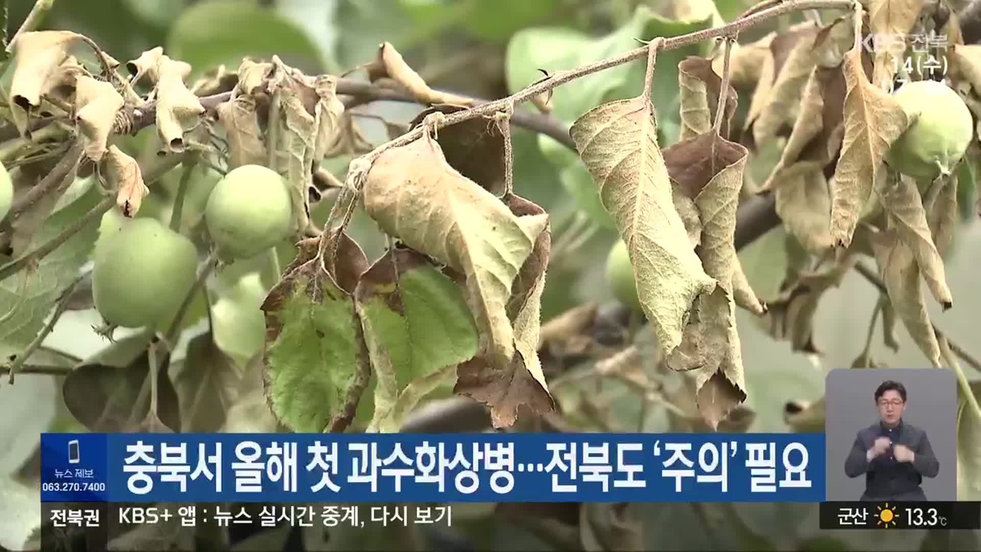 충북서 올해 첫 과수화상병…전북도 ‘주의’ 필요