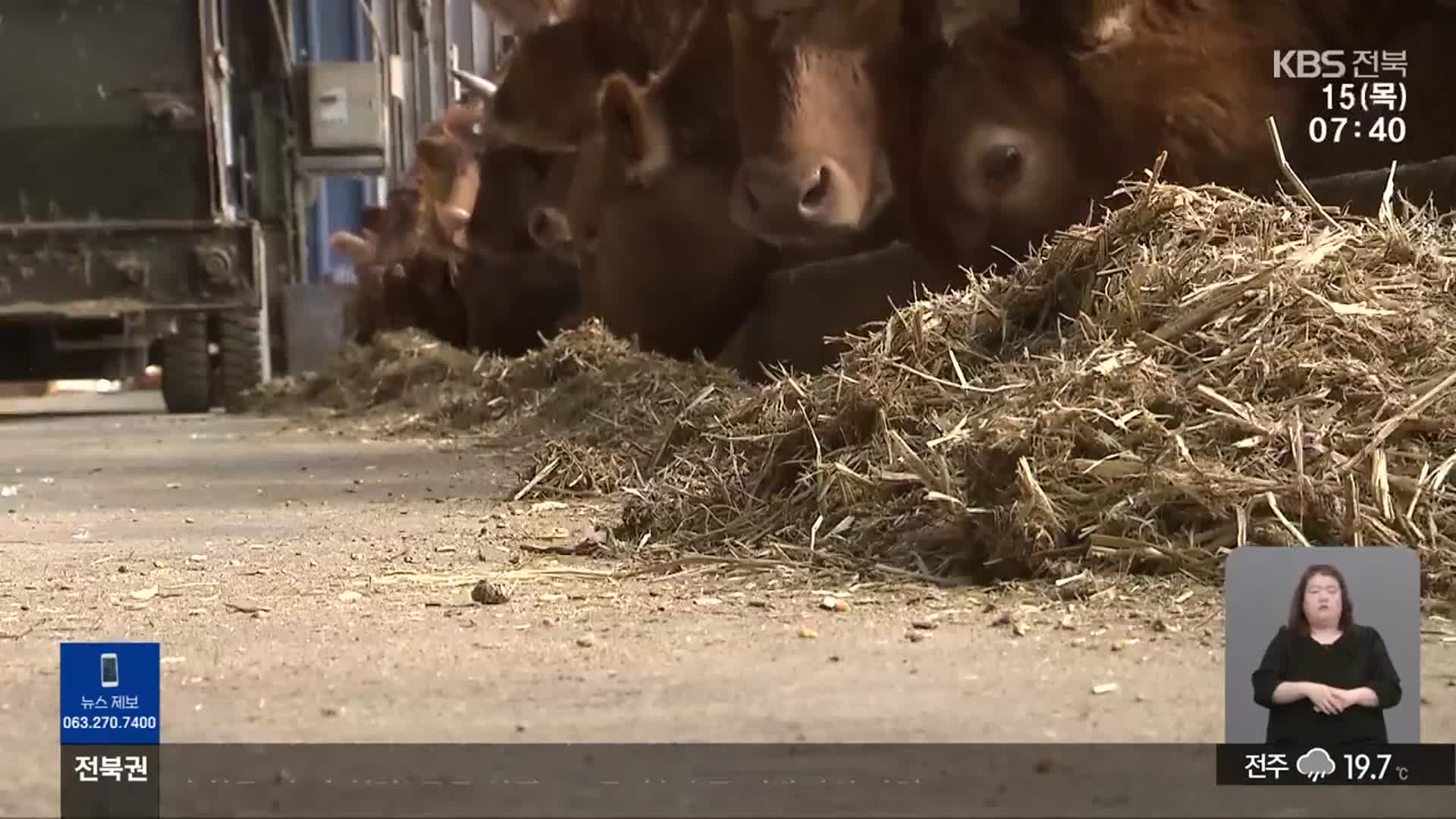 저(低)메탄 사료 소재 개발…기후위기 완화하나