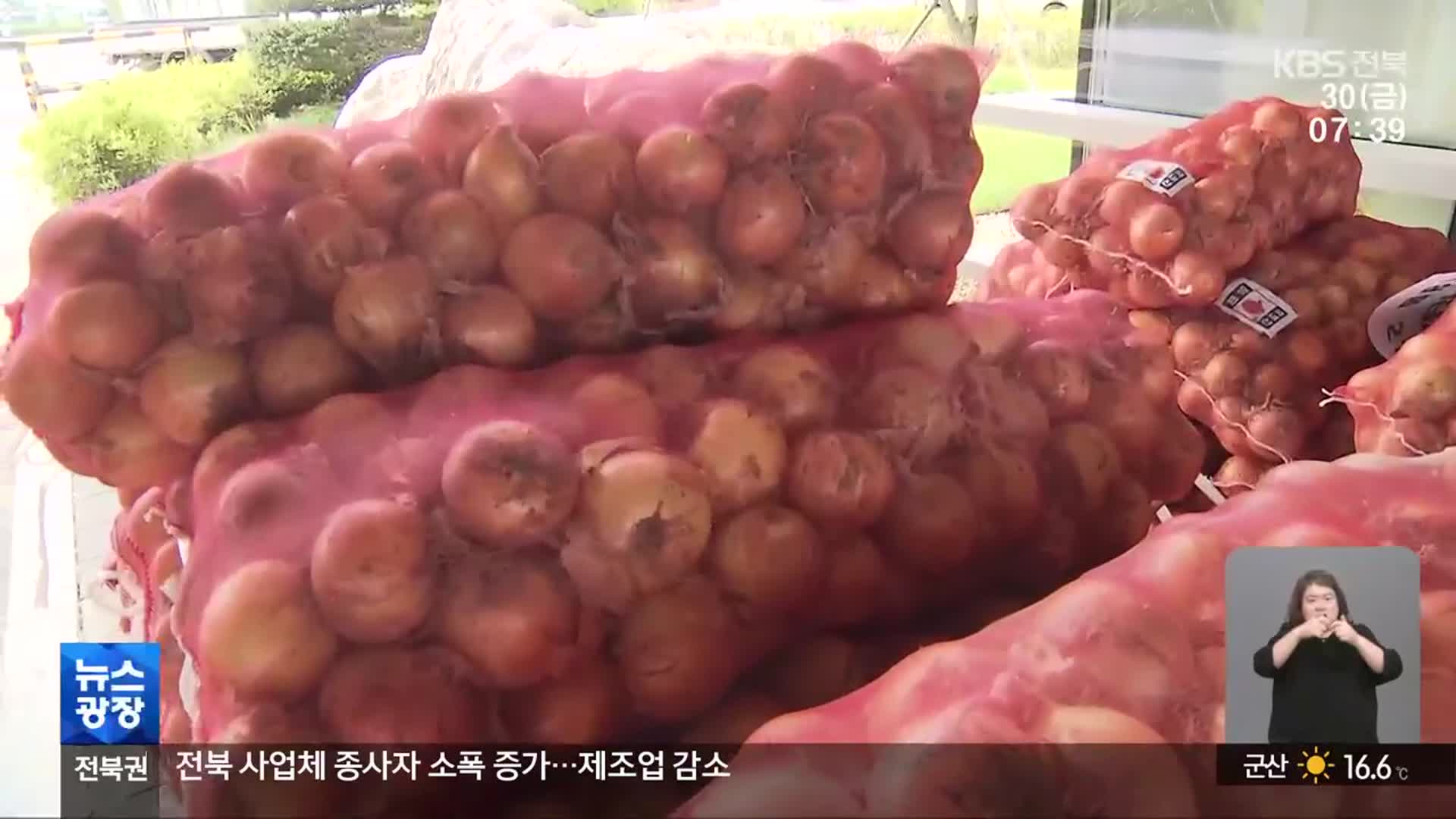 생산량 증가에 수입 확대 ‘이중고’…양파 가격 ‘폭락’ 우려