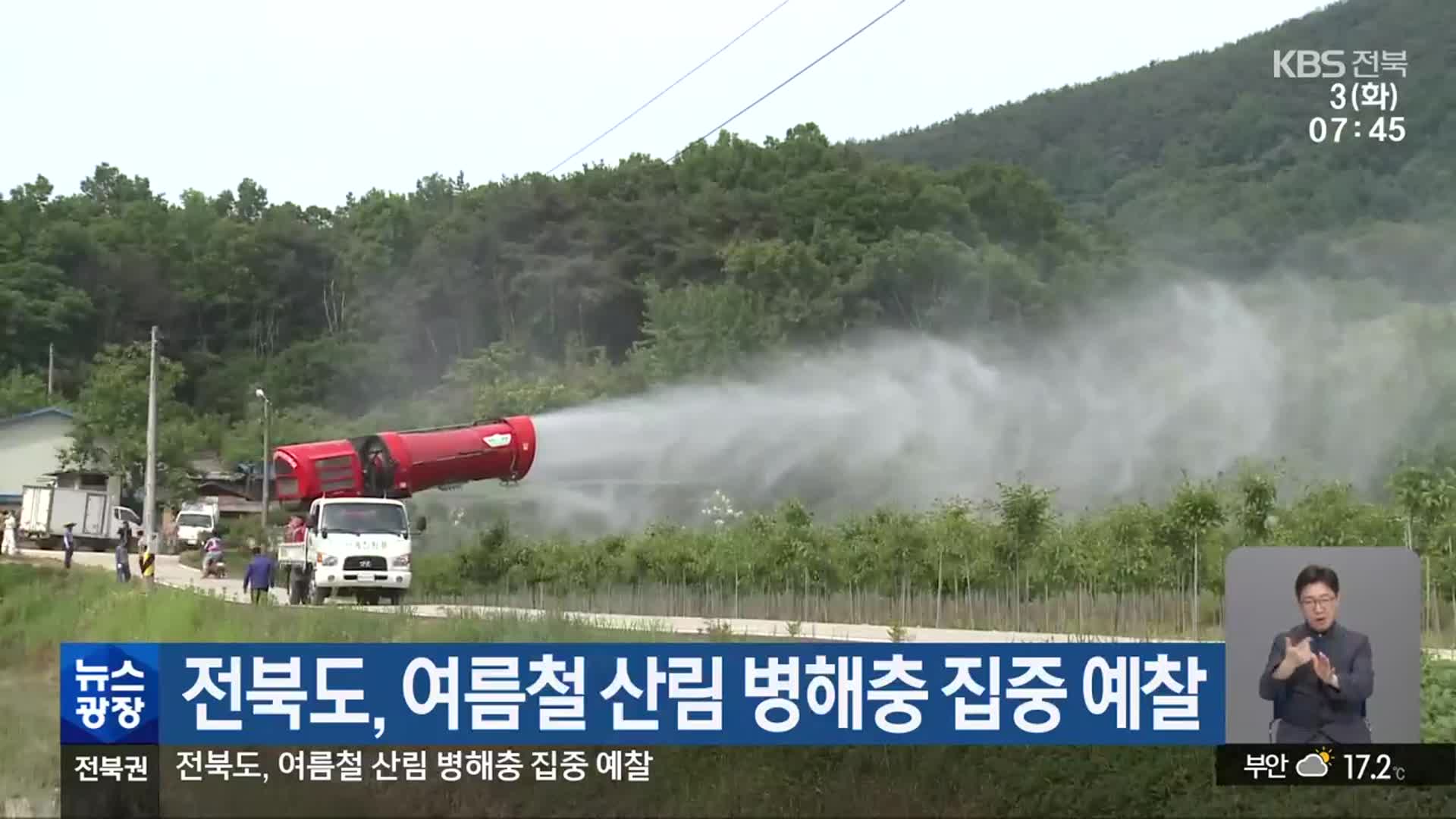 전북도, 여름철 산림 병해충 집중 예찰
