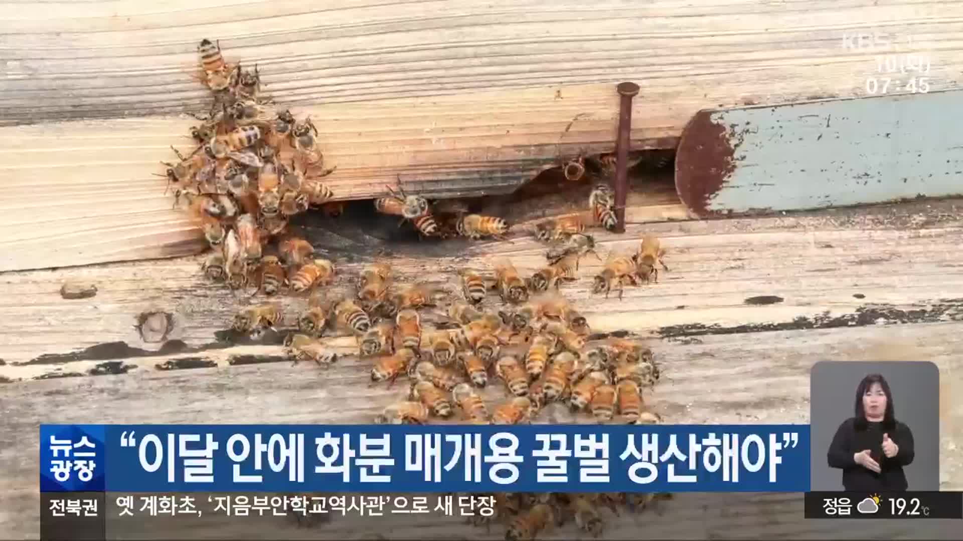 “이달 안에 화분 매개용 꿀벌 생산해야”