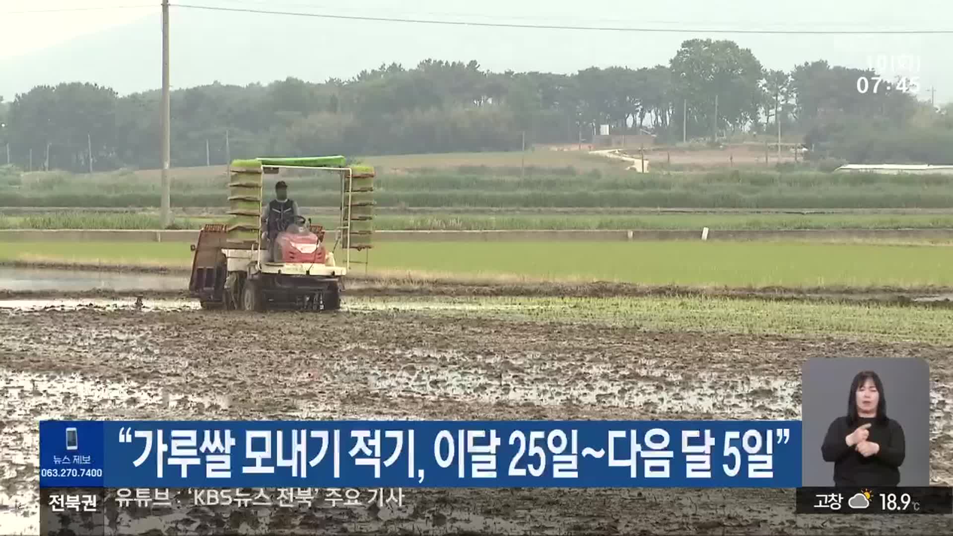 “가루쌀 모내기 적기, 이달 25일~다음 달 5일”