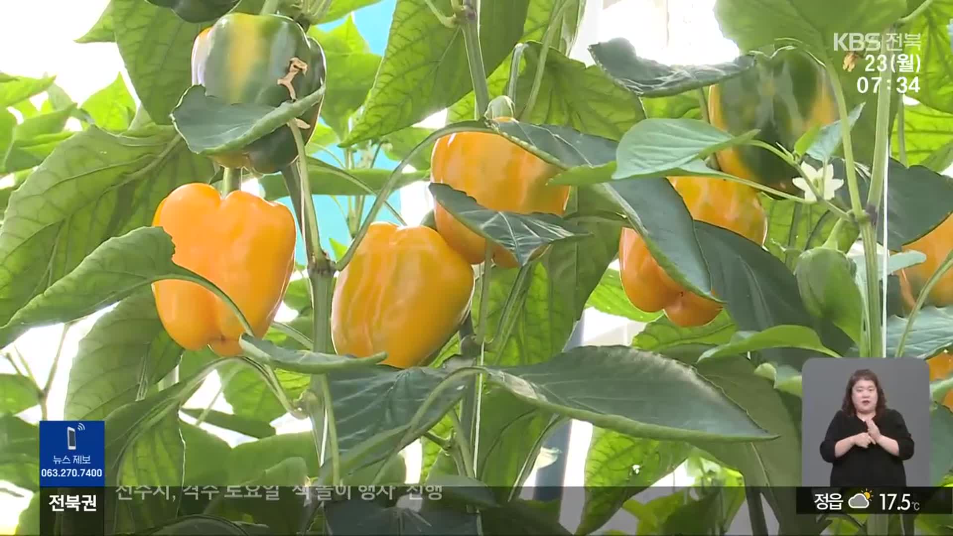 [뉴스광장 전북 풀영상]