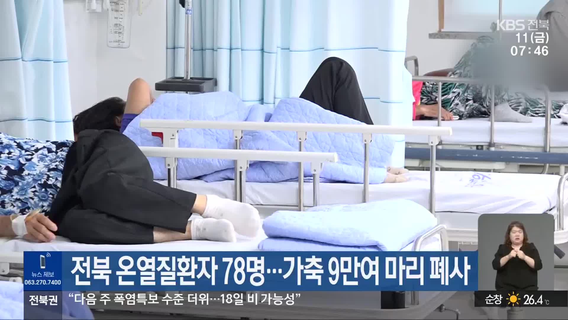 전북 온열질환자 78명…가축 9만여 마리 폐사