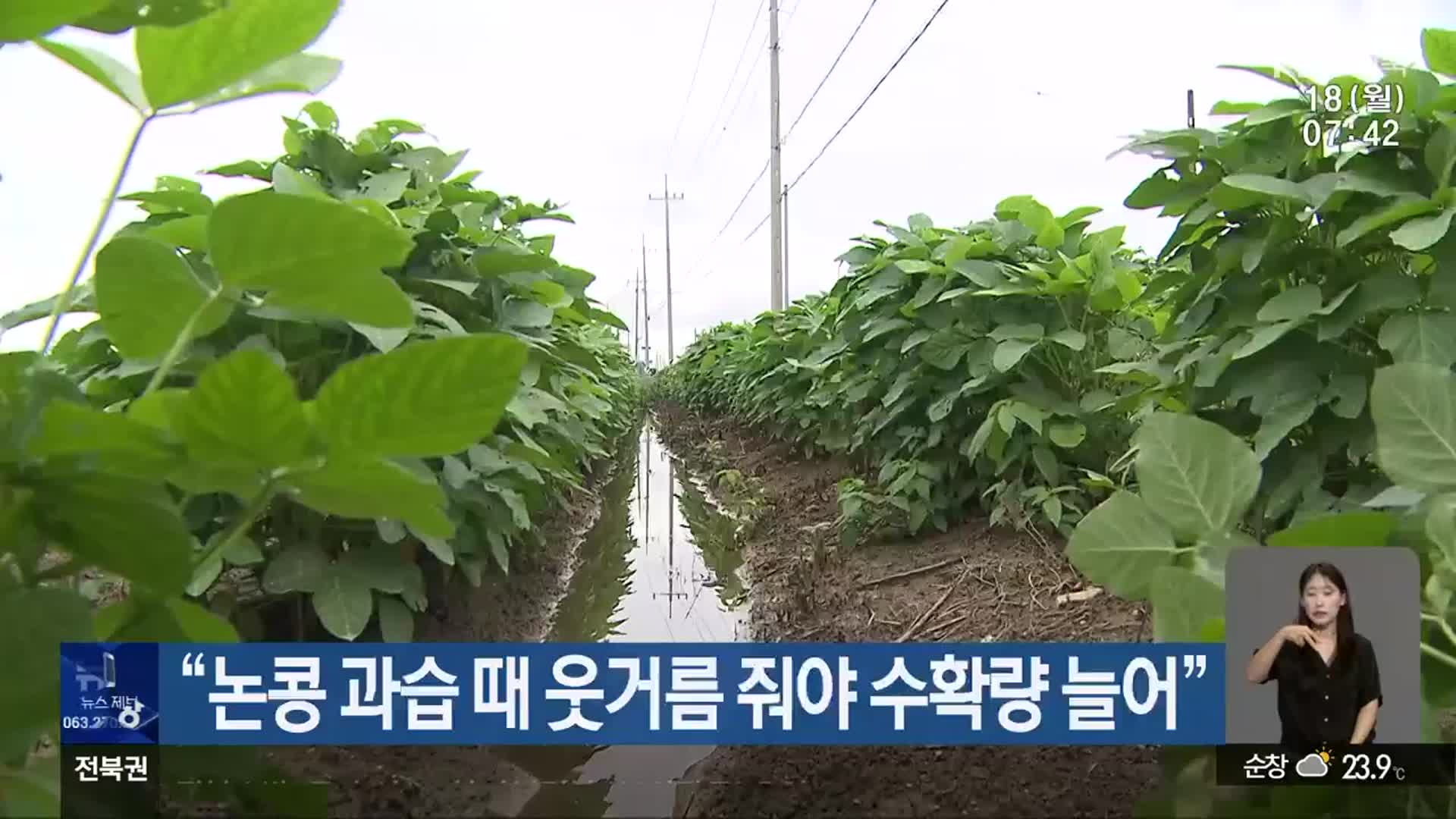 “논콩 과습 때 웃거름 줘야 수확량 늘어”