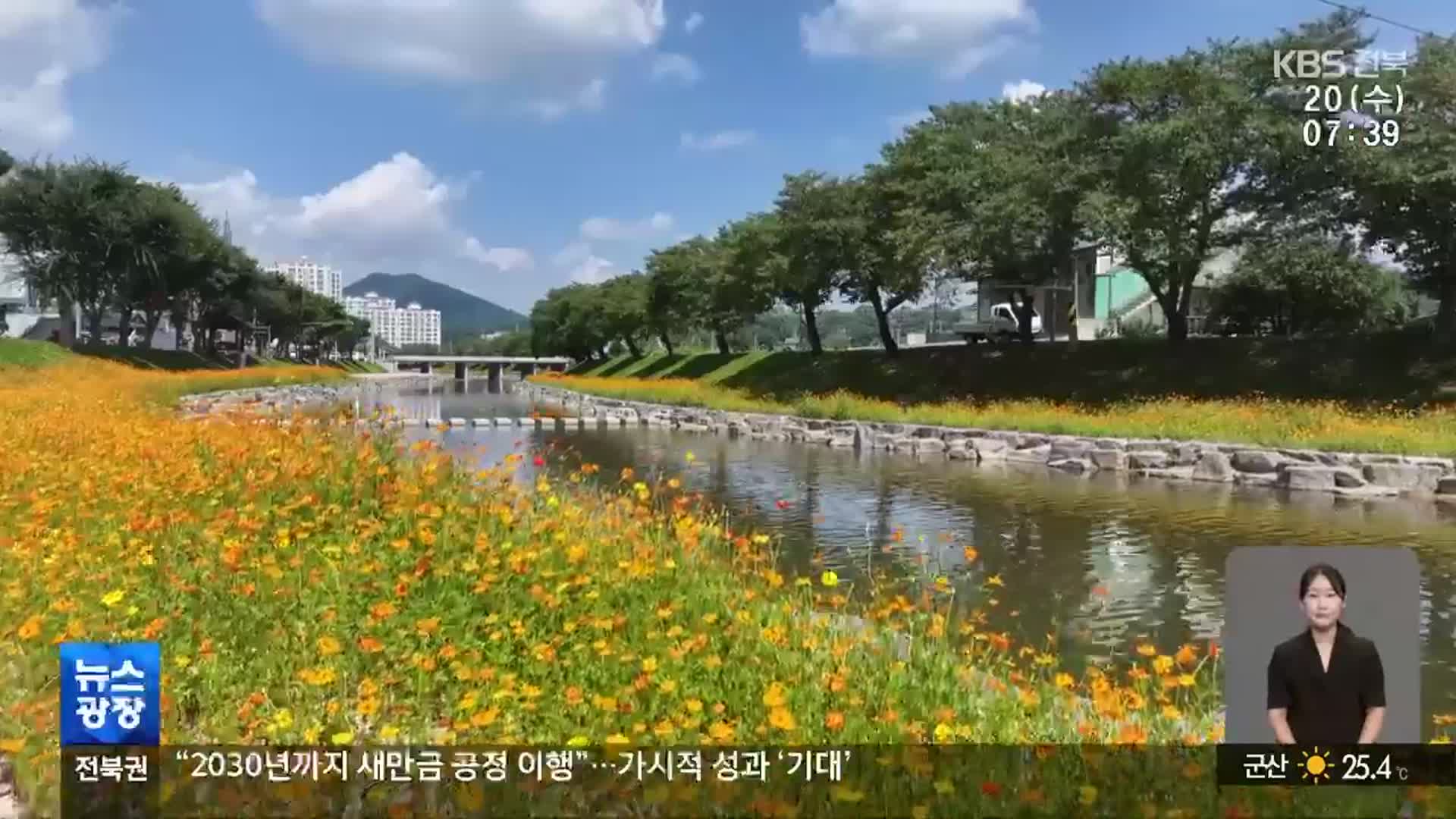 [전북의 창] 순창 양지천 꽃길 가을꽃 만개 앞둬 ‘눈길’