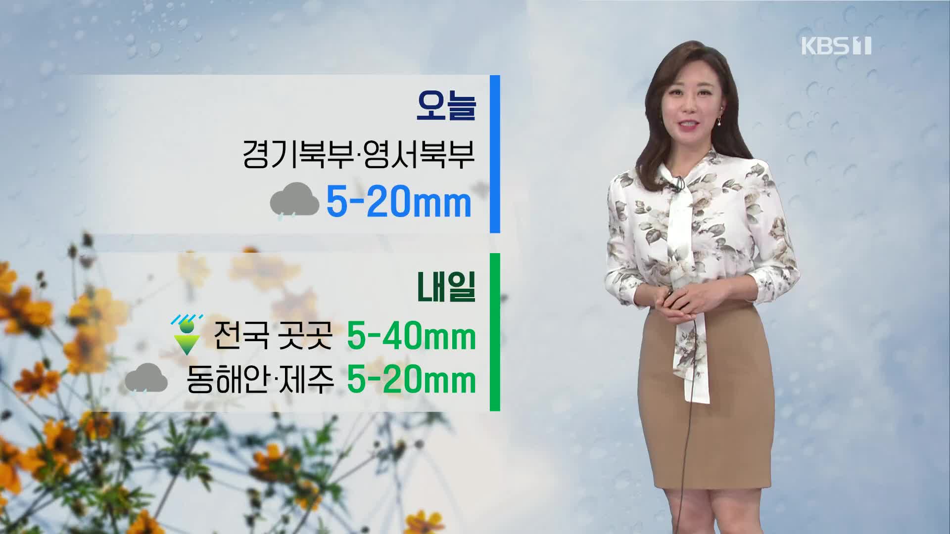 [날씨] 오늘 경기북부·영서북부 비…내일 곳곳 소나기