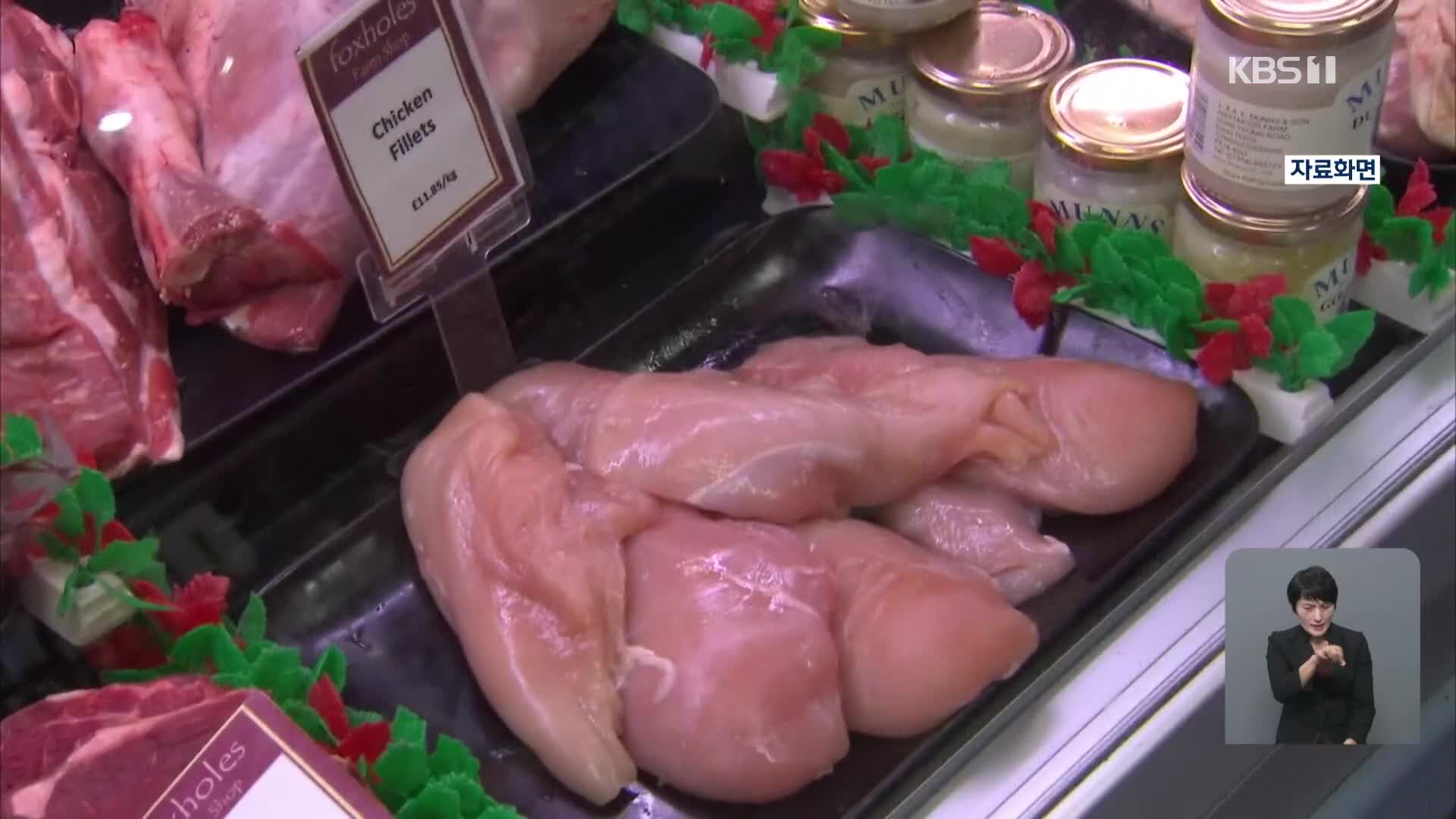 유럽 할인 유통업체 닭고기 다수, 항생제 내성균 검출