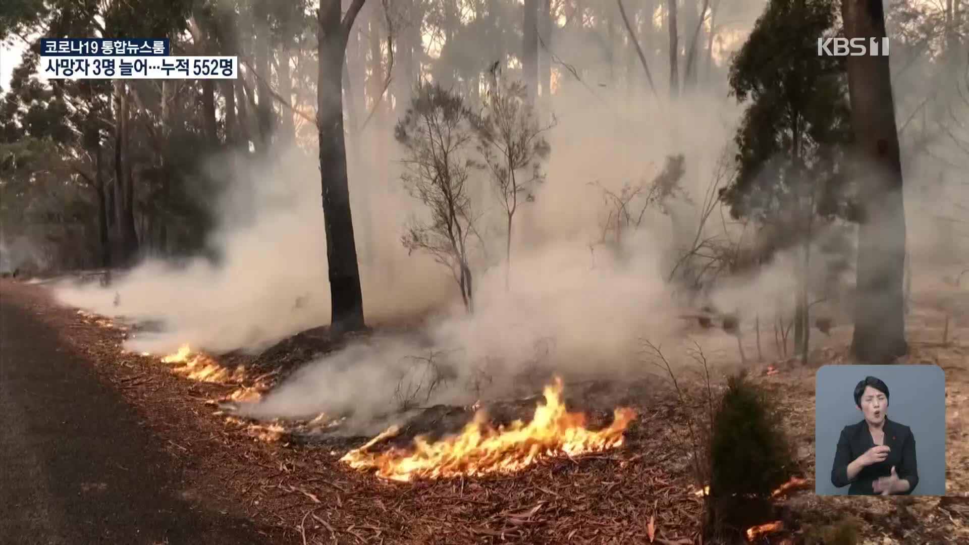 무더운 호주, 대규모 산불 우려 