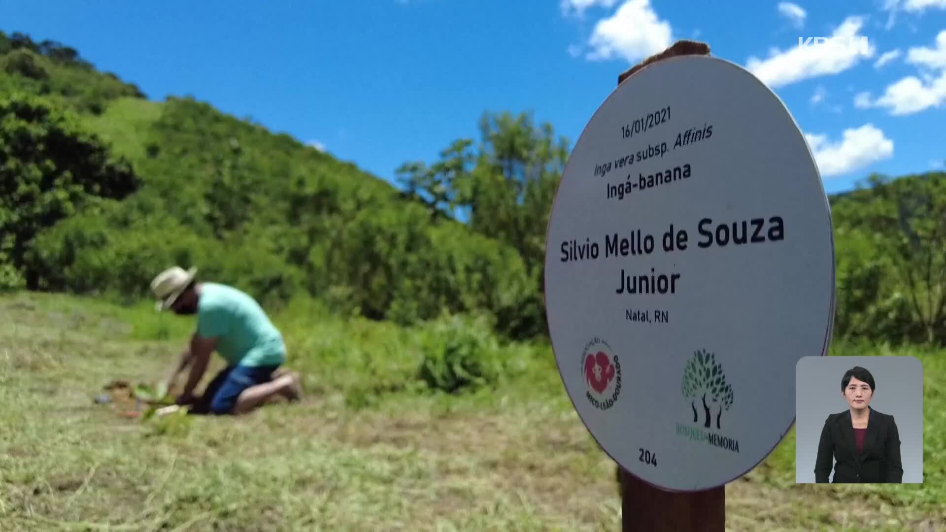 브라질, 코로나19 희생자 추모 나무 심기 프로젝트