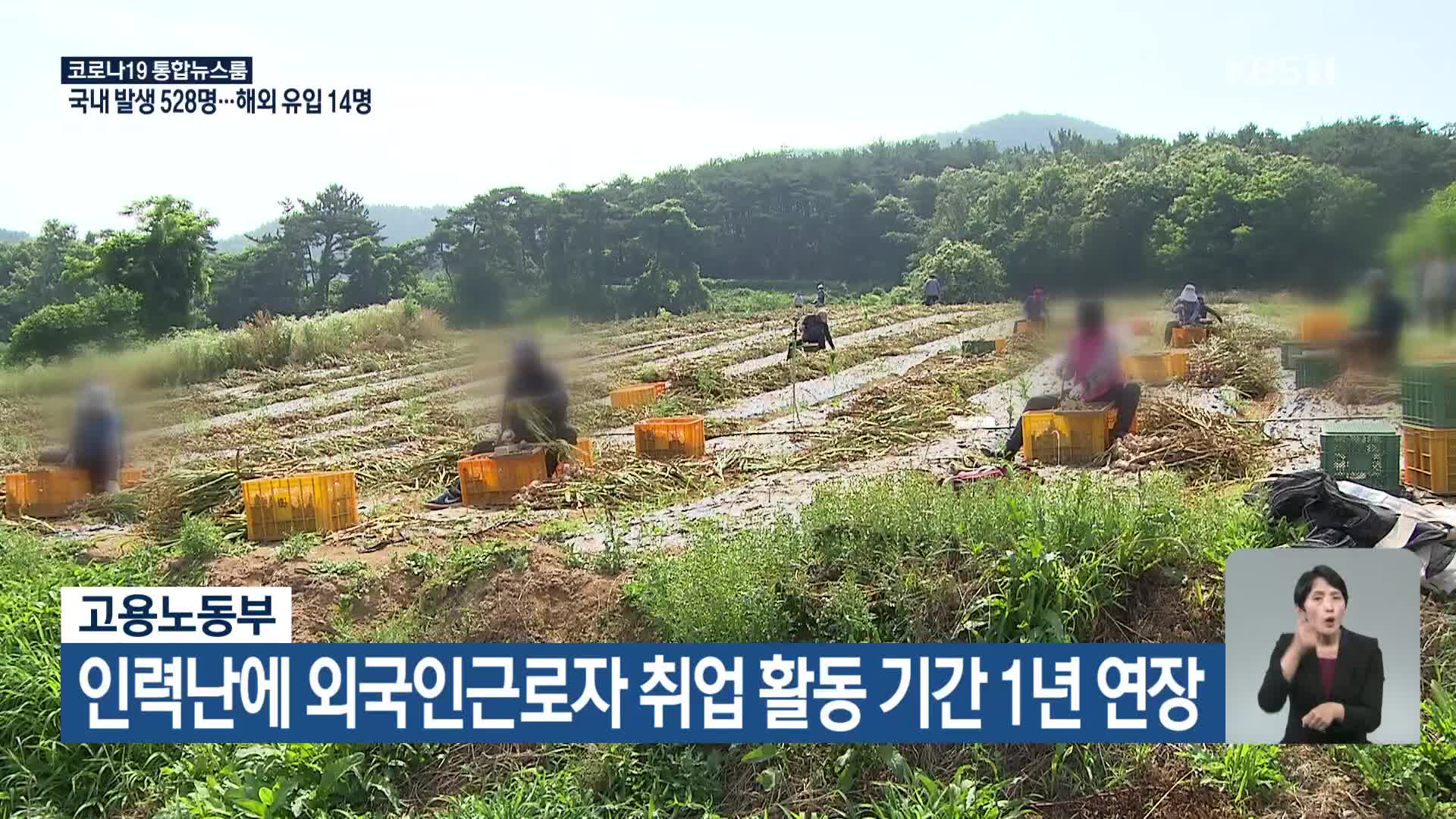 고용노동부, 인력난에 외국인근로자 취업 활동 기간 1년 연장