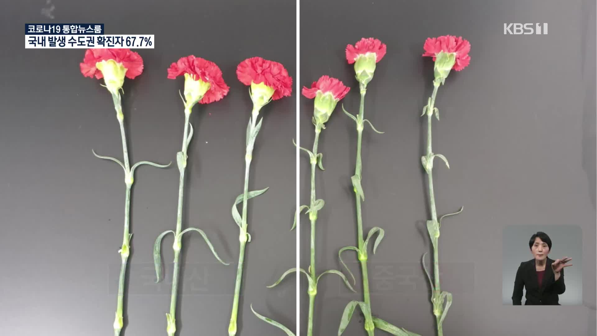 ‘수입꽃으로 2배 바가지’…화훼농가 두 번 울리는 원산지 위반