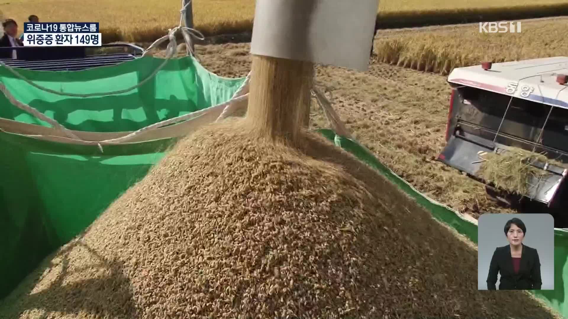 쌀값 1년 전보다 20%↑…벼 재배면적도 20년 만에 증가 전망