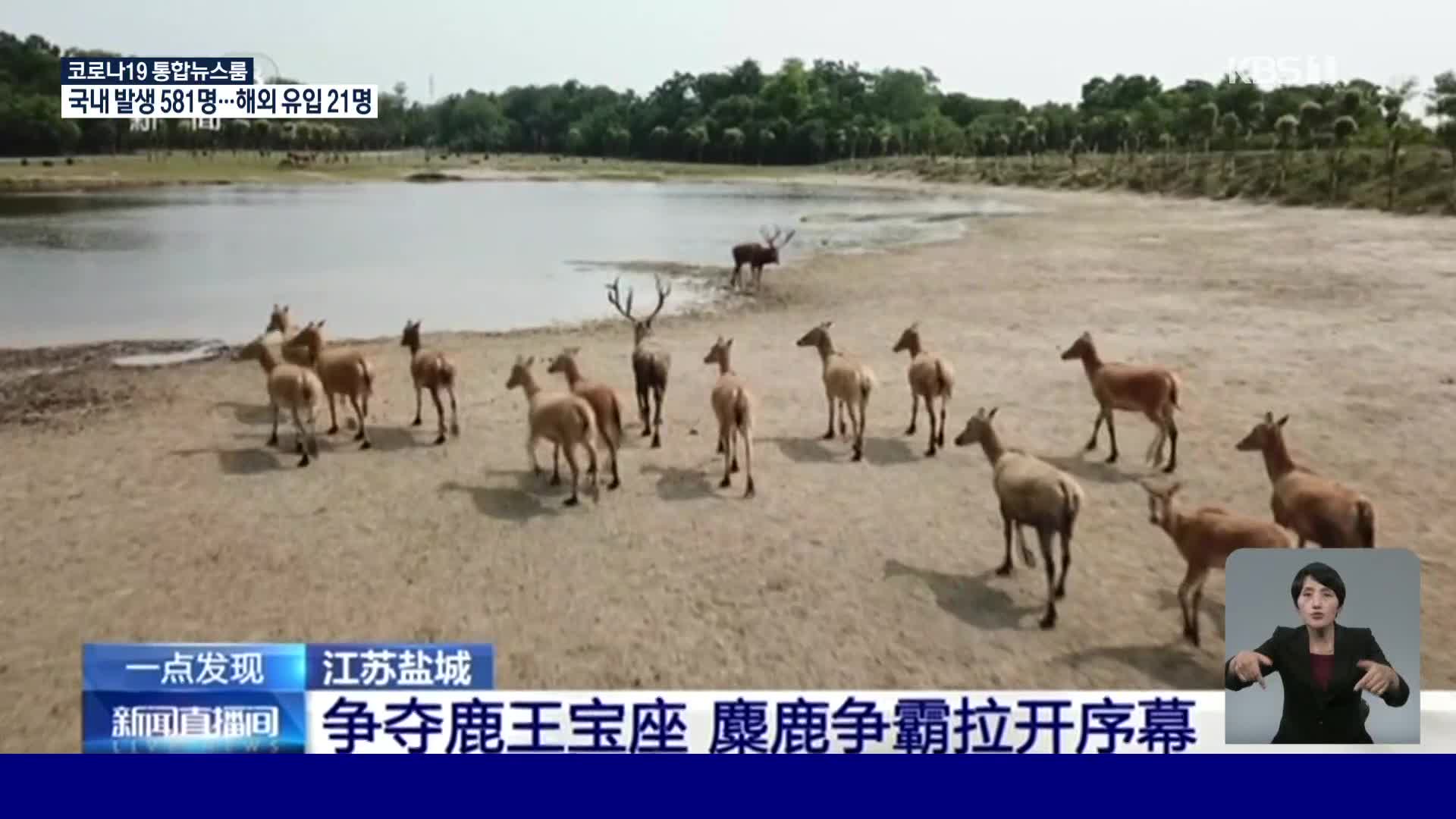 中 사불상 보호 노력 끝에 개체 수 증가