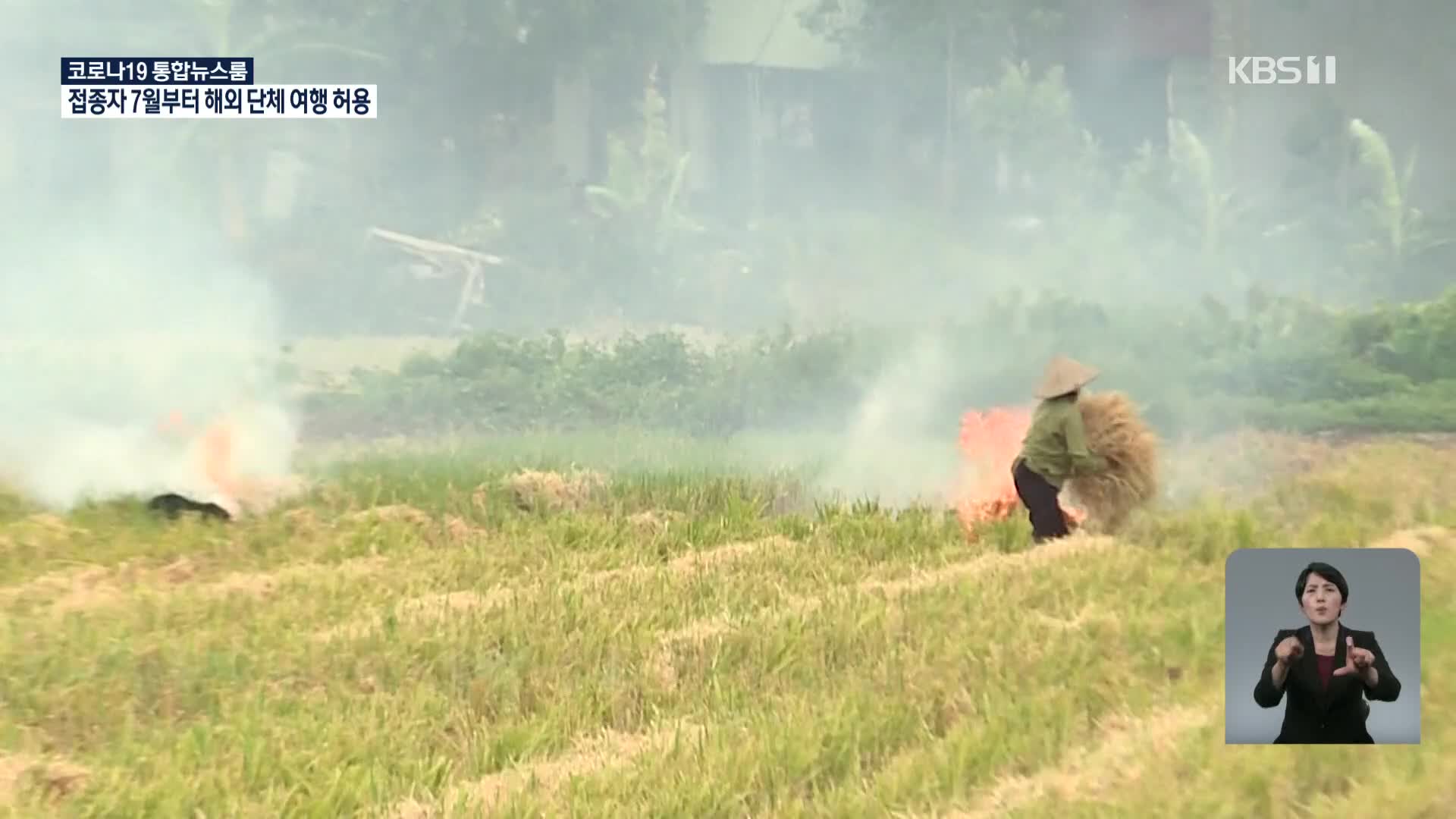 베트남, 환경오염 우려에도 볏짚 태우기 계속돼