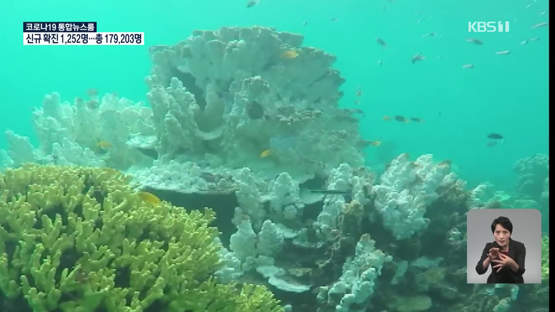 일본, 산호가 ‘갈충조’ 삼키는 순간 세계 최초로 촬영