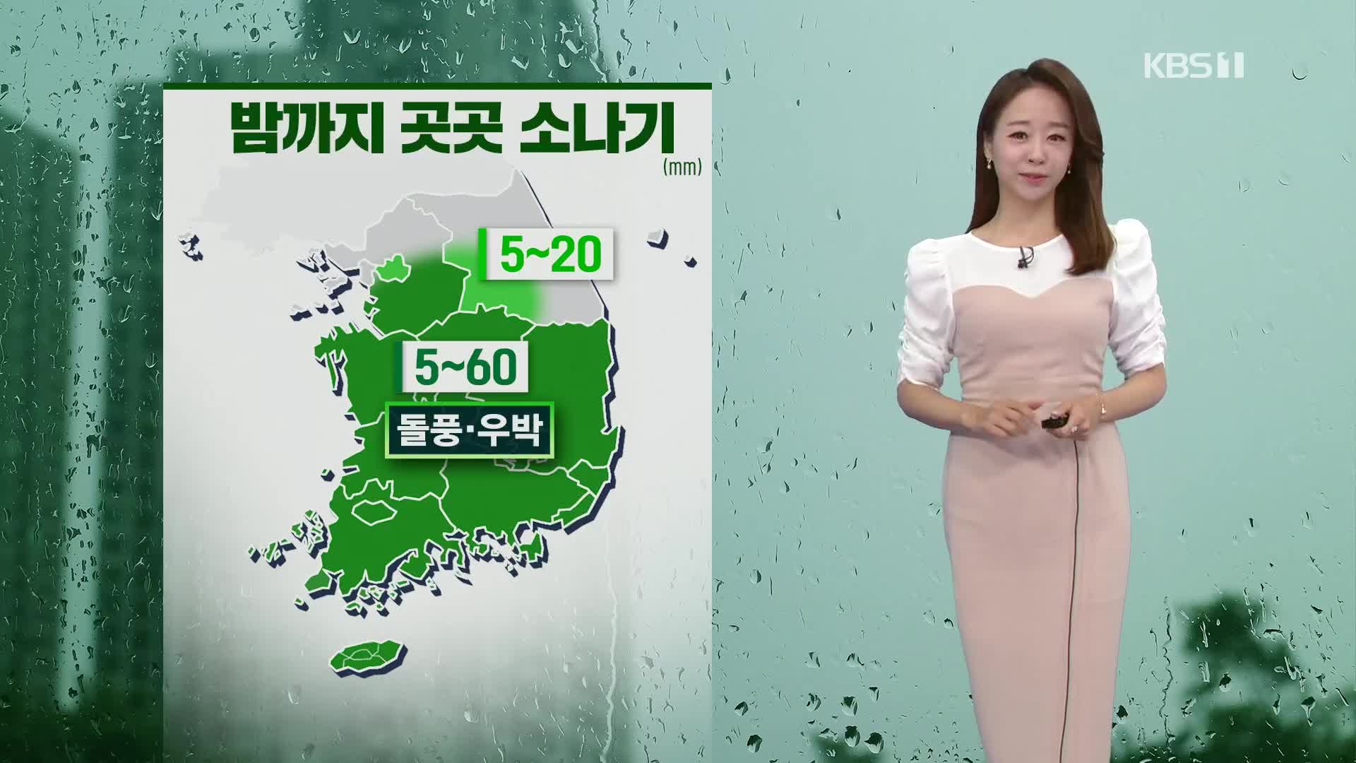 [오후날씨 꿀팁] 전주·제주 호우주의보…밤까지 곳곳 강한 소나기