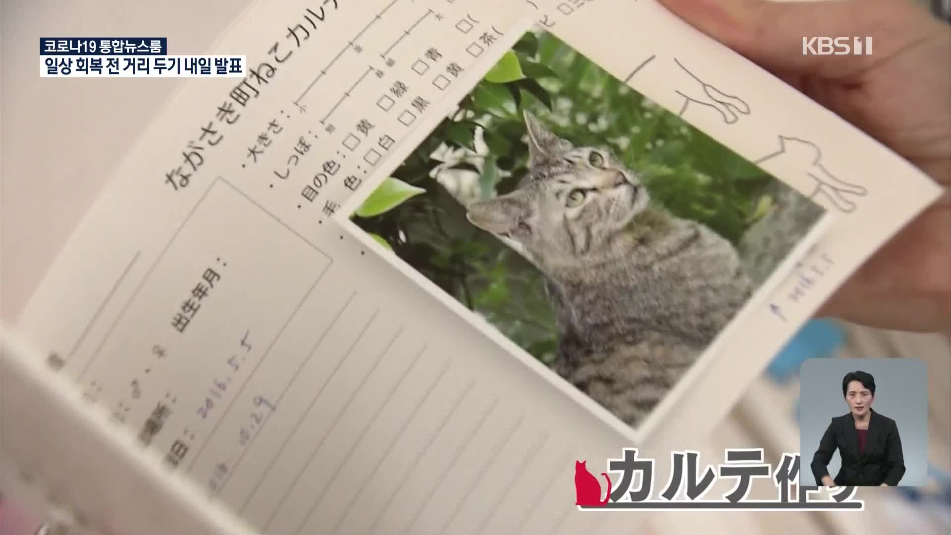 일본, 사람과 고양이가 공존하는 방법을 찾는 시민단체