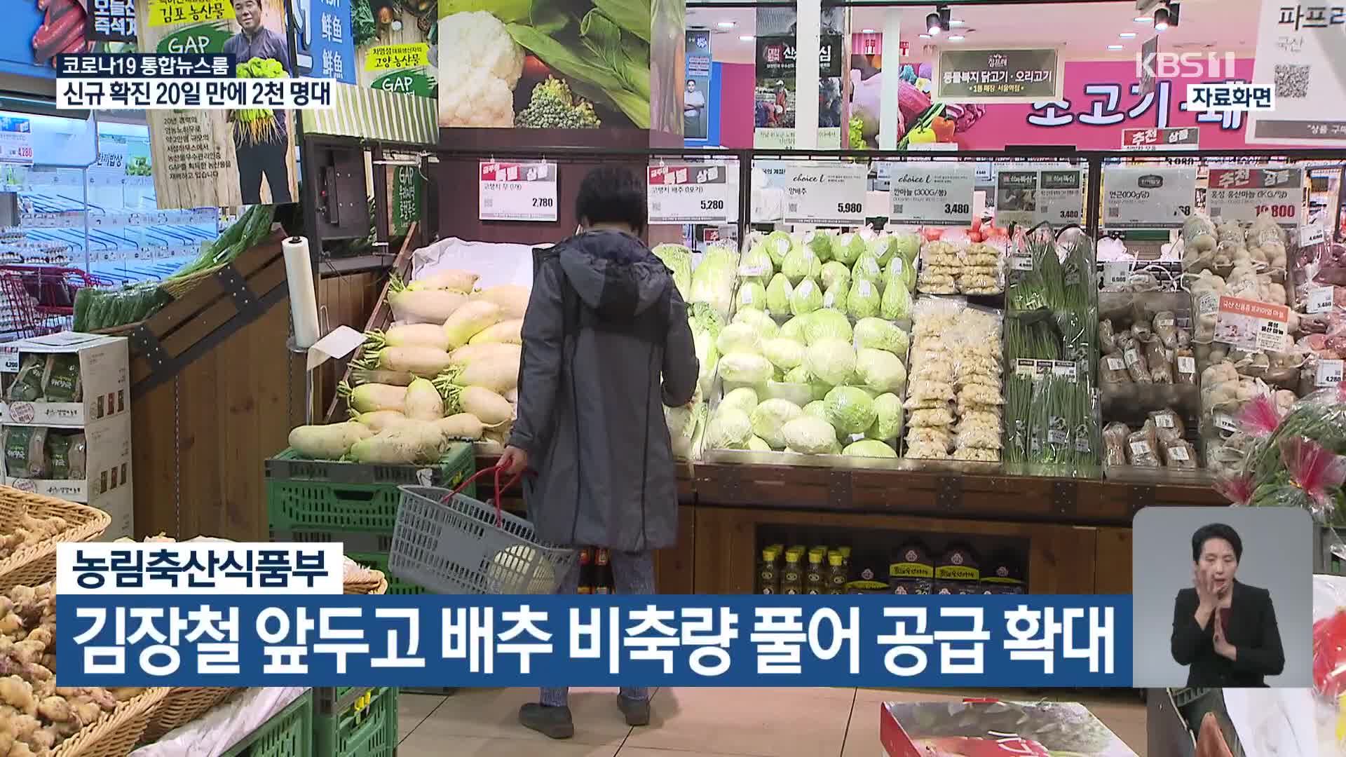 농림축산식품부, 김장철 앞두고 배추 비축량 풀어 공급 확대