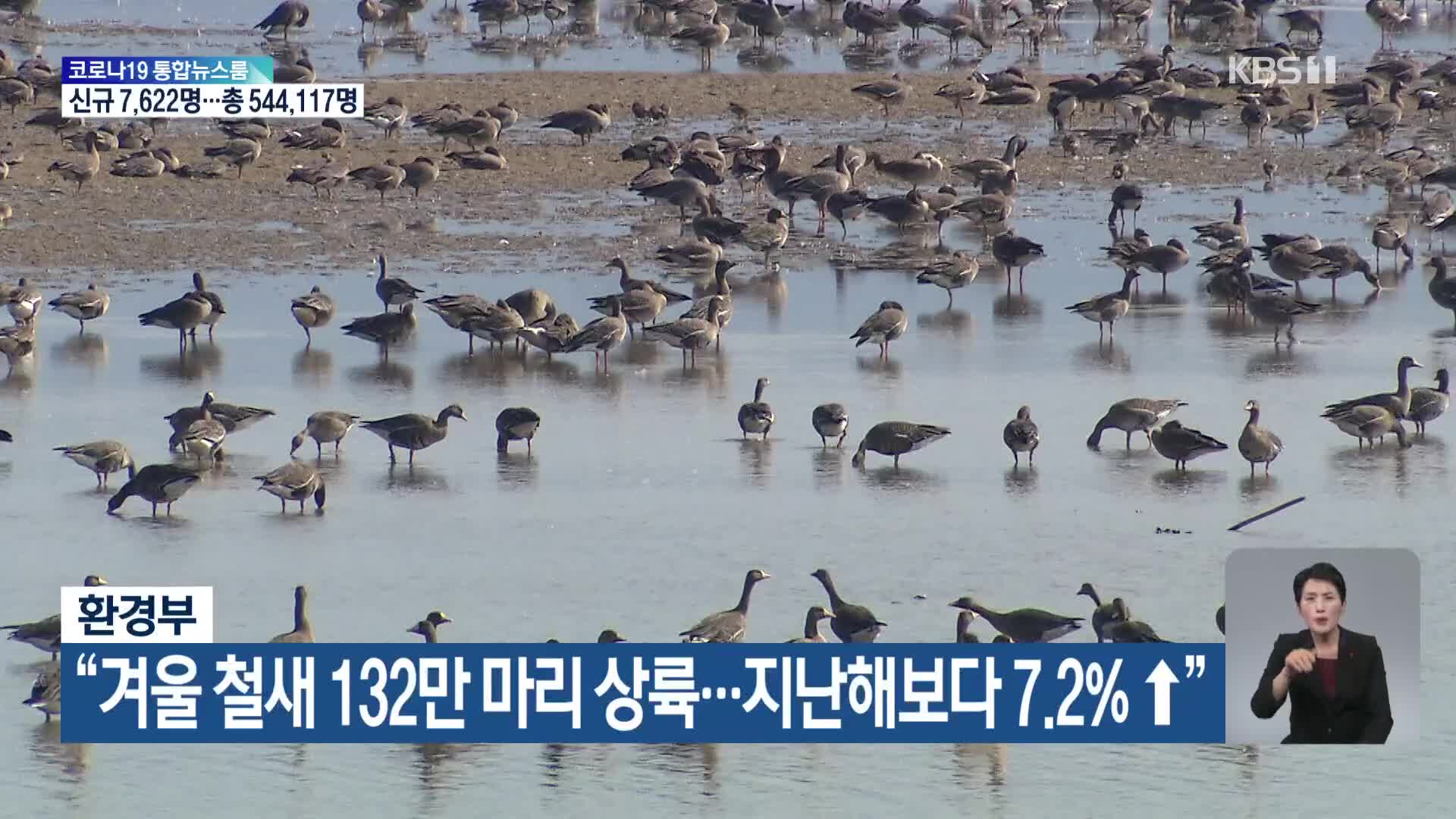 환경부 “겨울 철새 132만 마리 상륙…지난해보다 7.2% ↑”