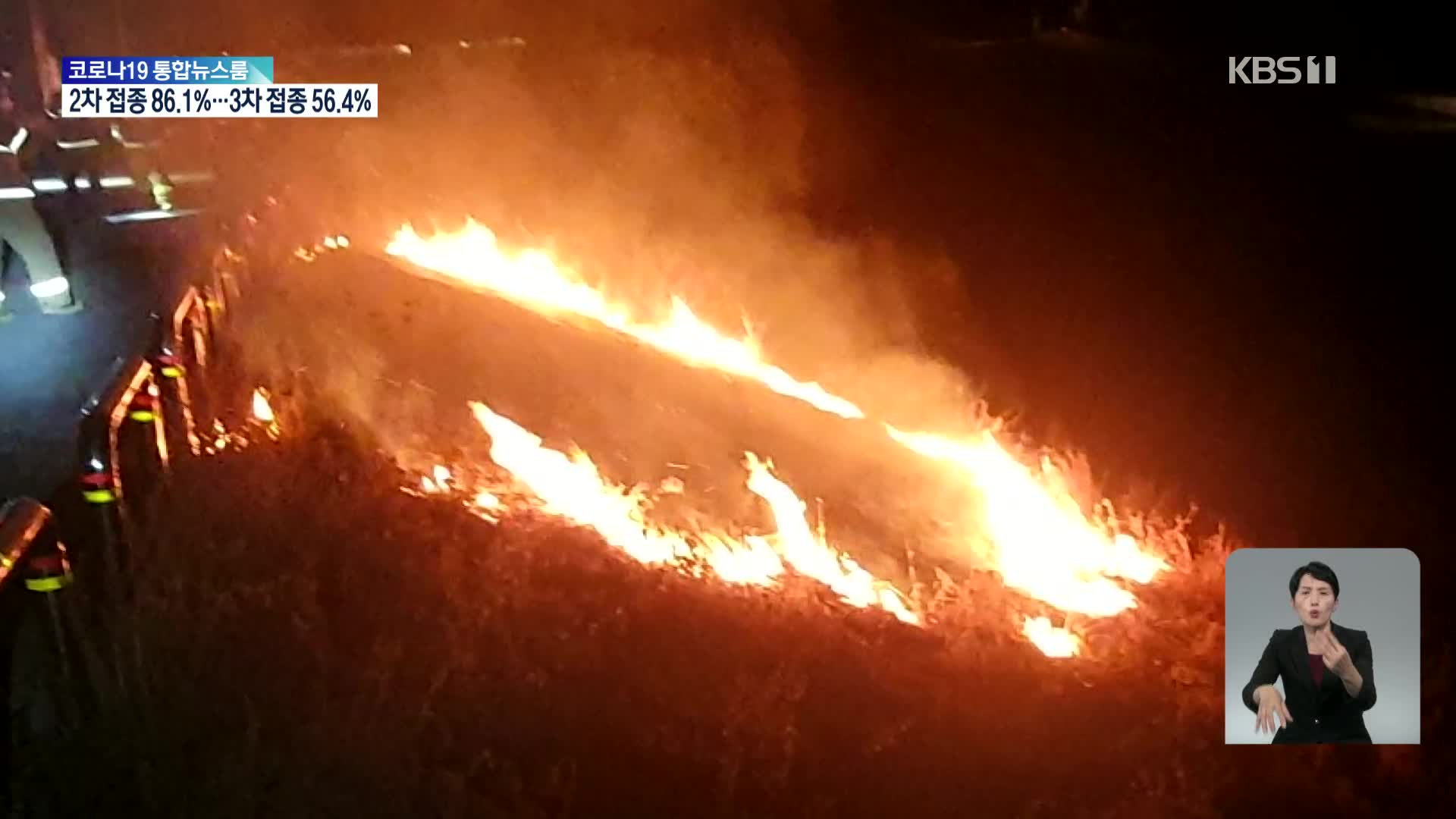 금강변 갈대밭 연속 방화…붙잡고 보니 ‘30대 교사’