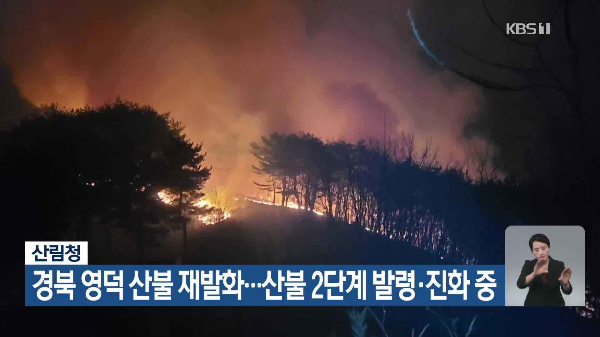 경북 영덕 산불 재발화…산불 2단계 발령·진화 중
