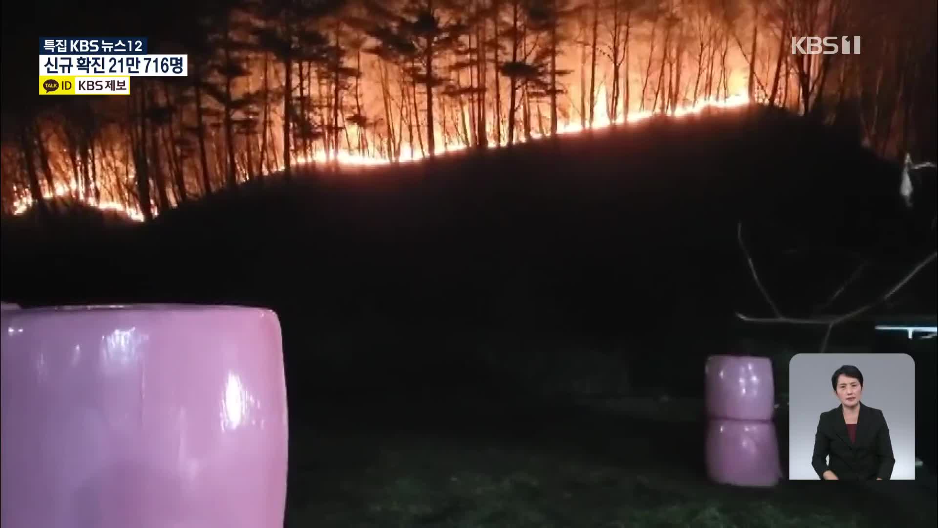 [특보] 울진·삼척·동해 산불 계속…이 시각 제보 영상