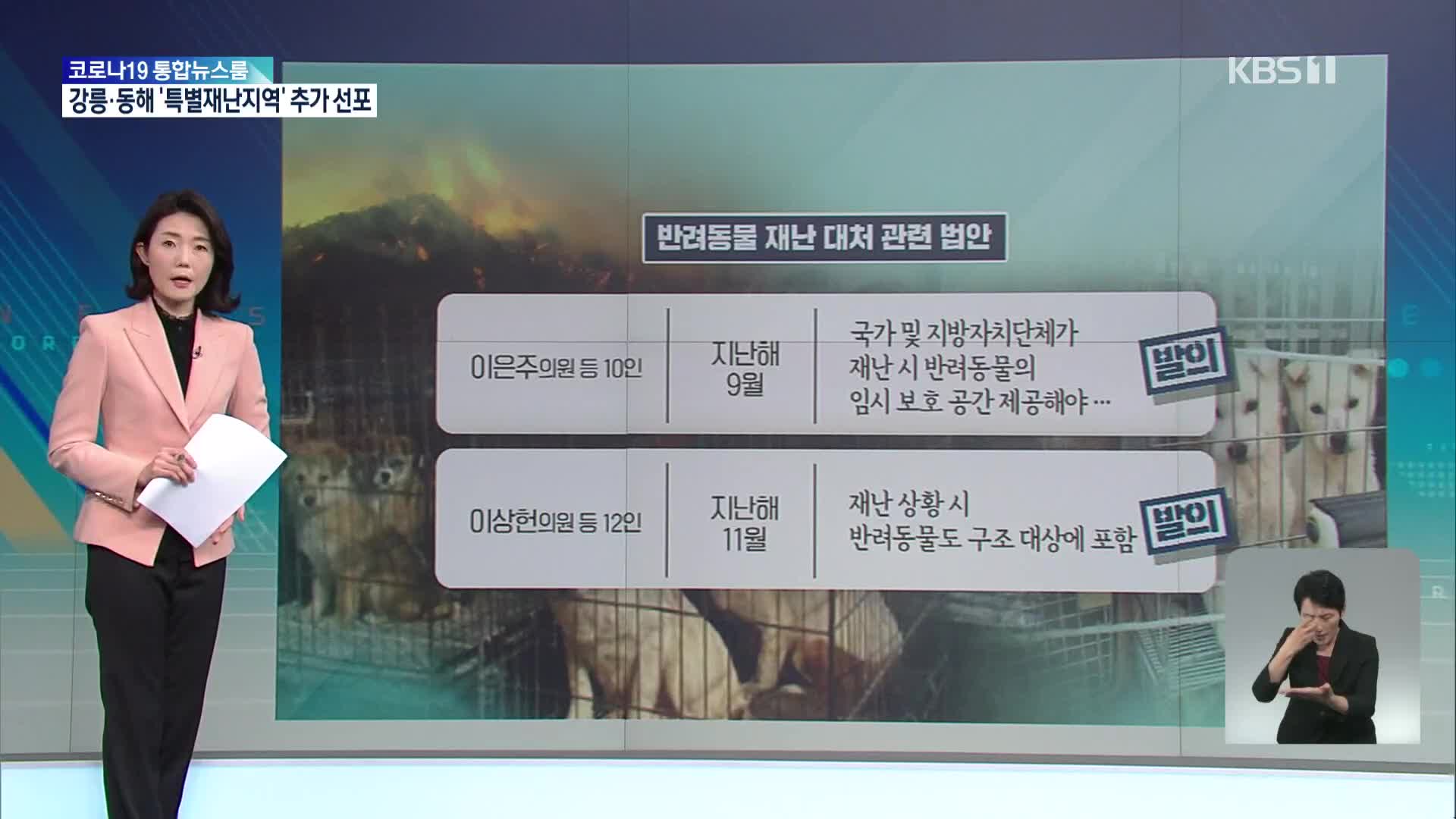 위기 속 태어난 새 생명…재난 시 반려동물 어디로?