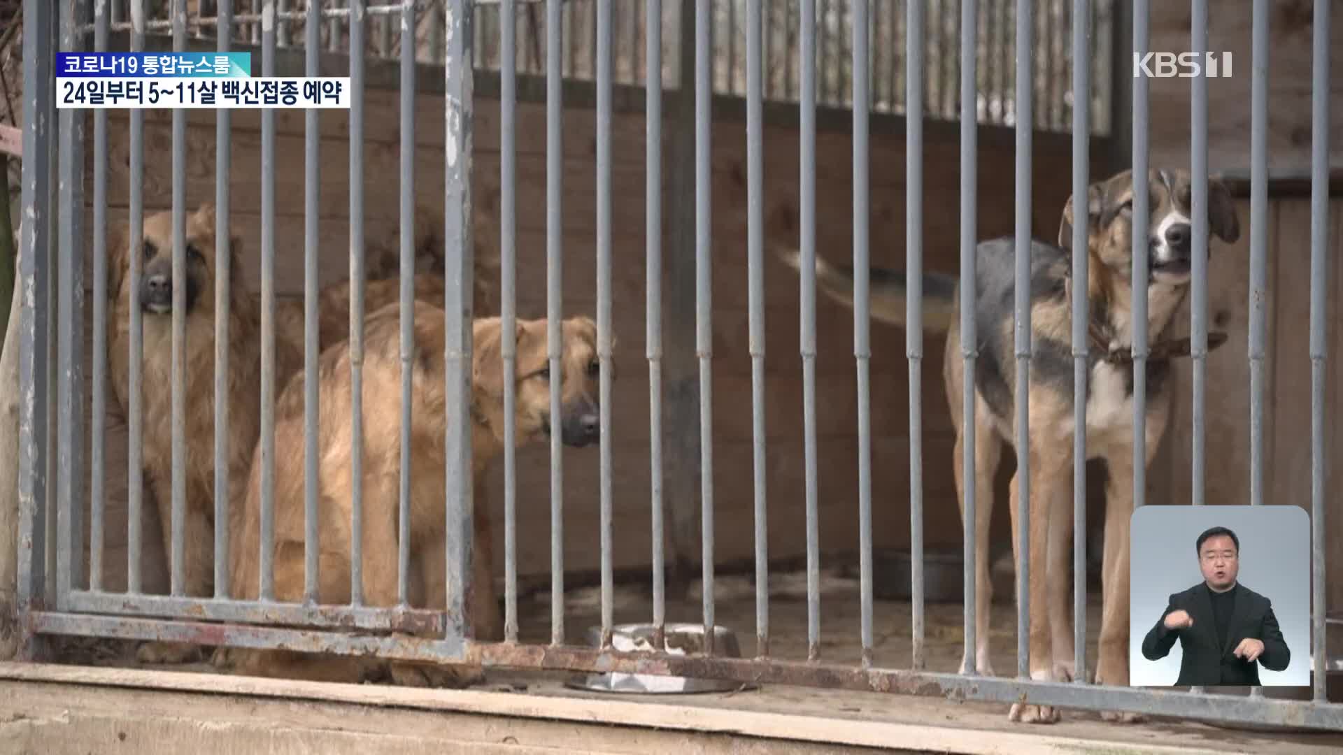 우크라이나 전쟁, 반려동물에게도 수난