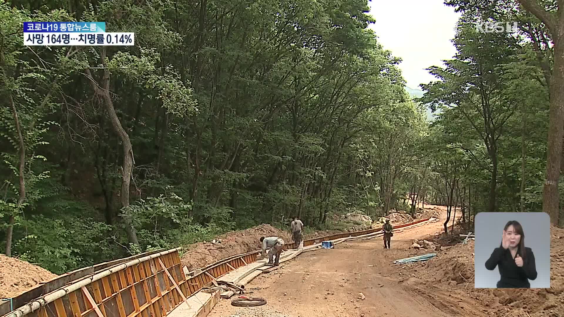 금강송 군락지 지킨 ‘임도’…설치율은 선진국의 10% 수준