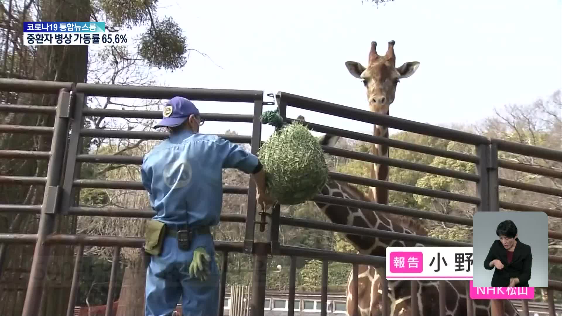 日, 코로나와 연료비 급등으로 동물원도 타격