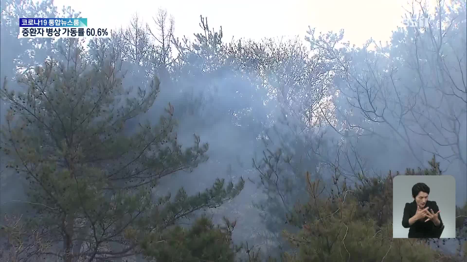 봉화 산불 18시간 만에 진화…120ha 피해