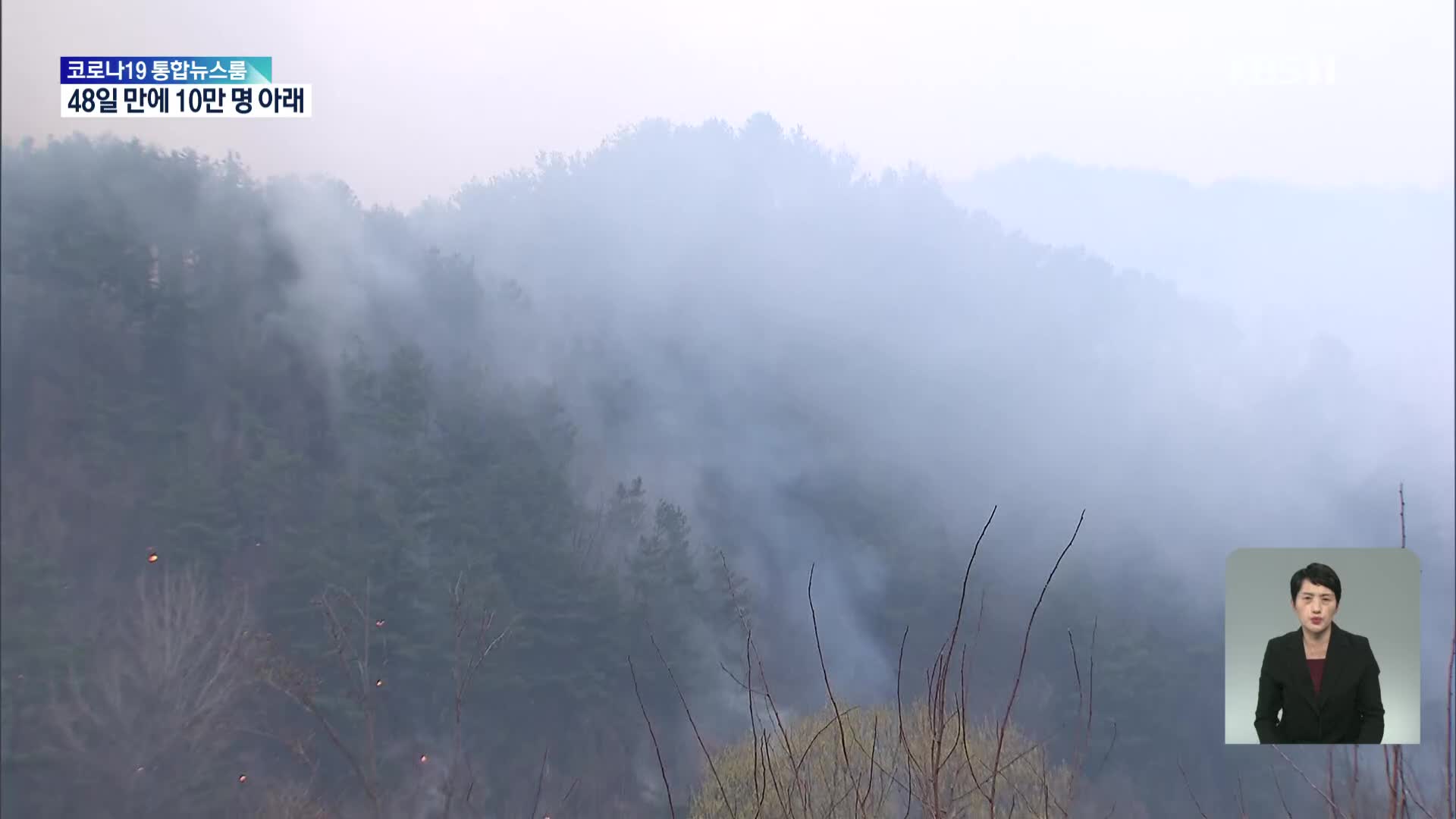 강원 양구 산불 이틀째…연무에 헬기 투입 중단