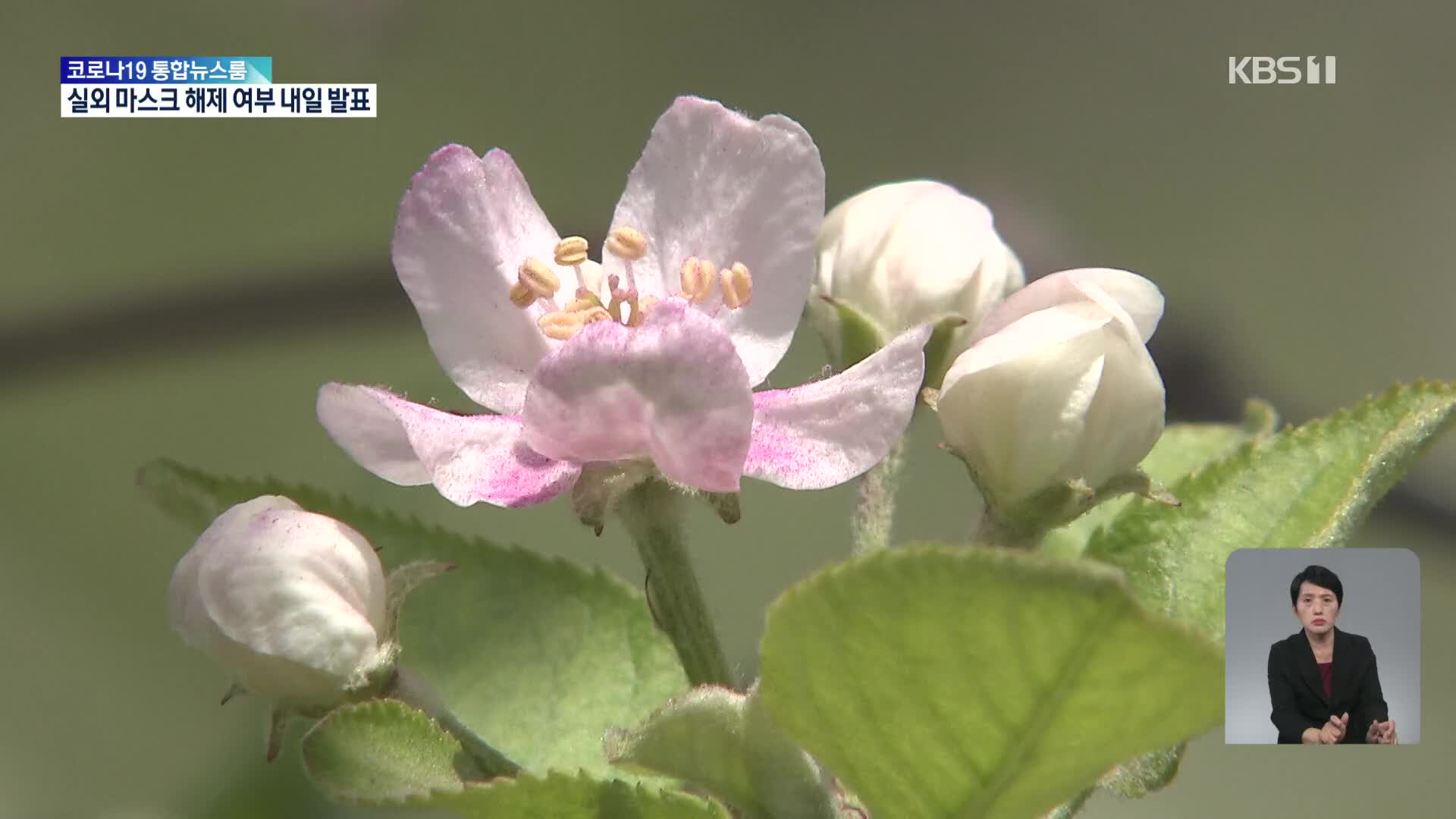 꿀벌 개체 감소, 이상기온 탓…꽃가루은행 인기