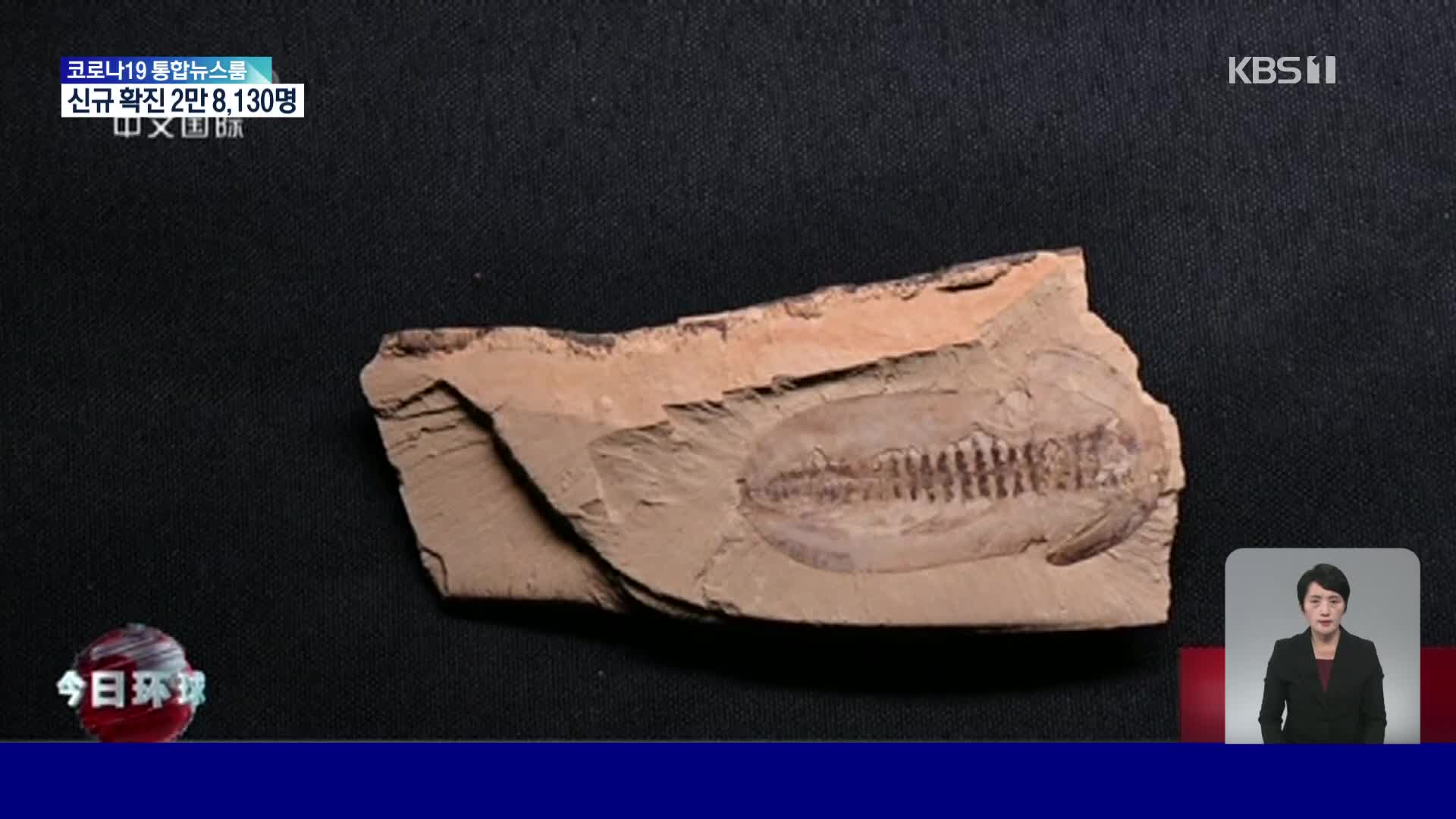 중국, 청장 화석 유적의 새로운 발견