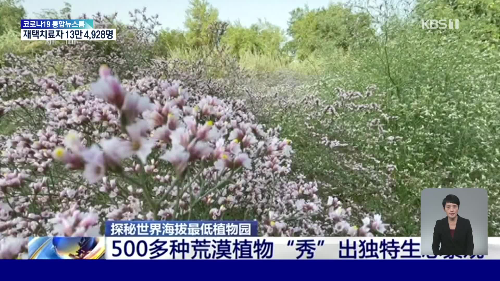 중국, 해수면보다 낮은 곳에 위치한 사막 식물원