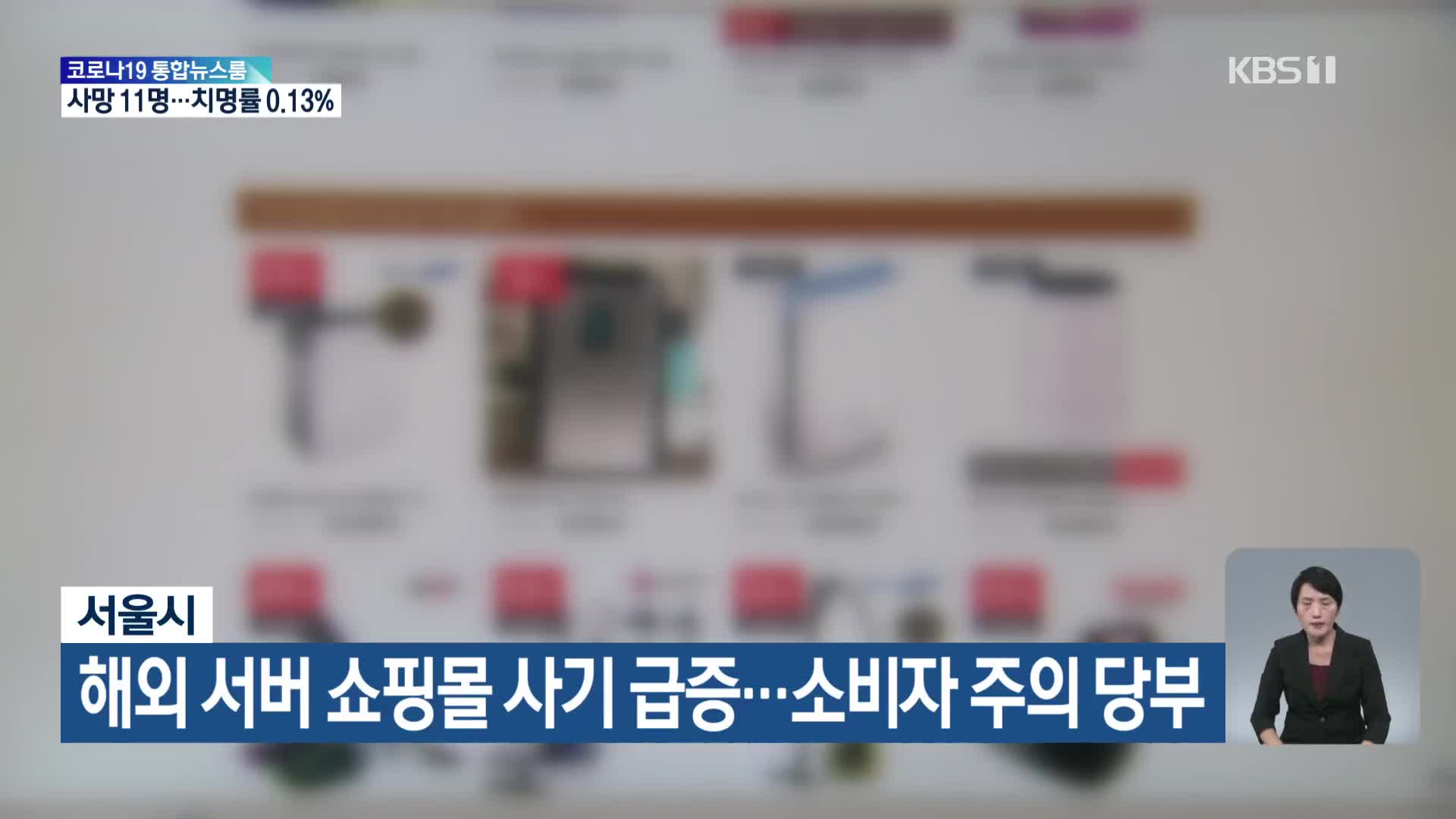 서울시, 해외 서버 쇼핑몰 사기 급증…소비자 주의 당부
