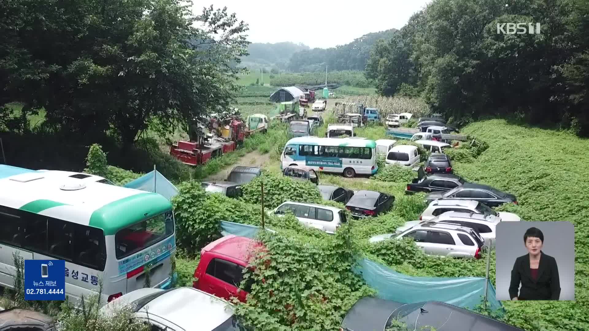 풀숲에 폐차 2백여 대 방치…지자체 “확인 불가, 개선 명령”