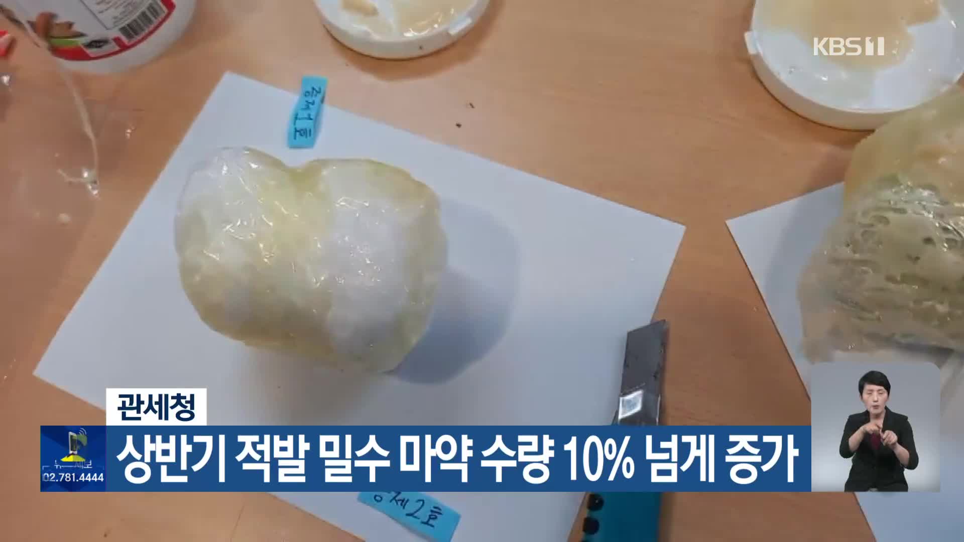 관세청, 상반기 적발 밀수 마약 수량 10% 넘게 증가