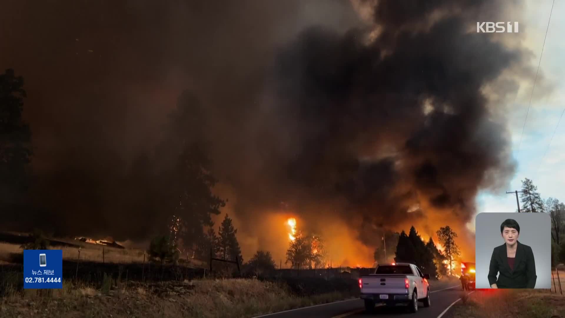 美 요세미티 공원 인근 산불 확산…여의도 면적 25배 태워