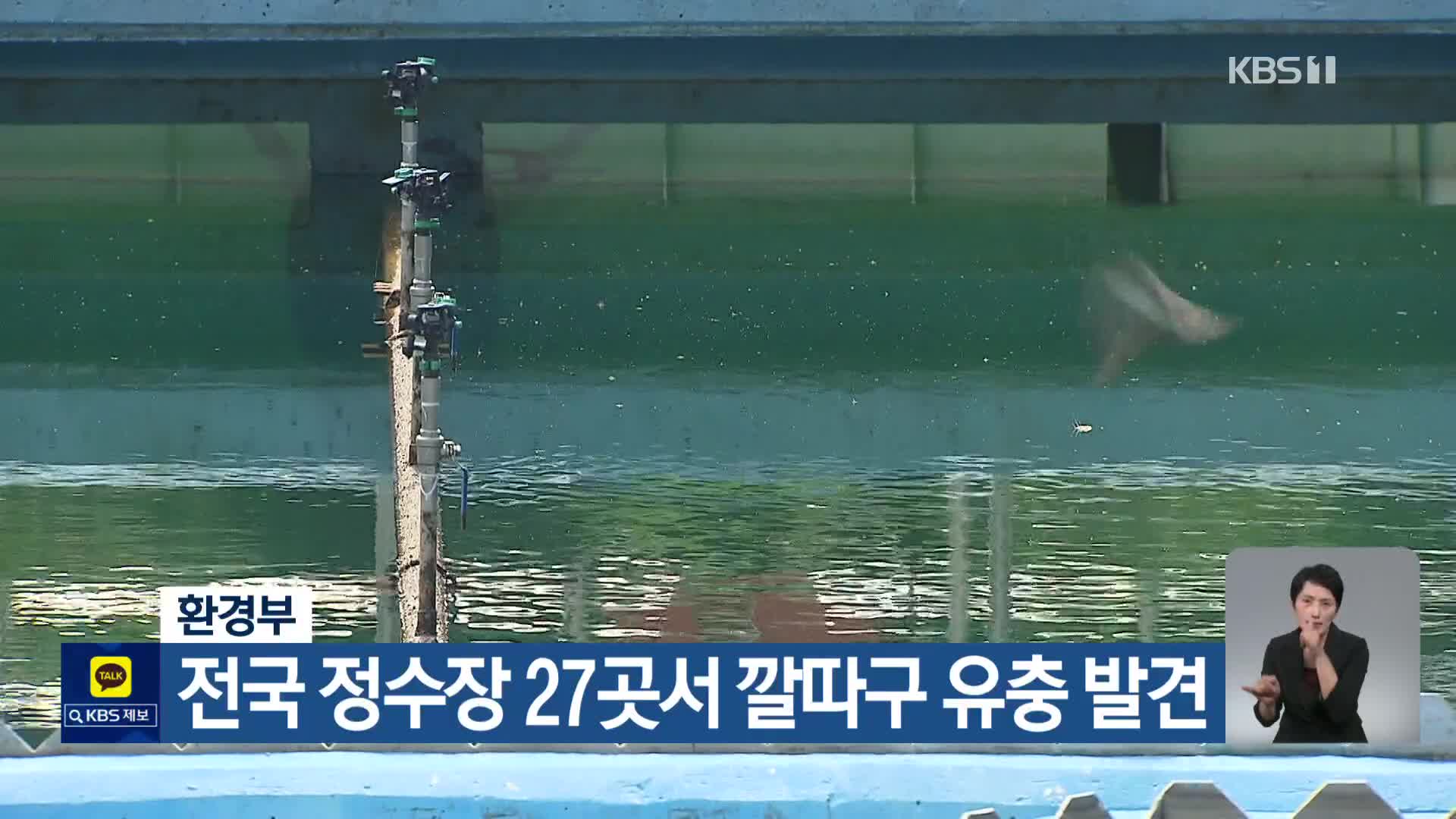 환경부, 전국 정수장 27곳서 깔따구 유충 발견