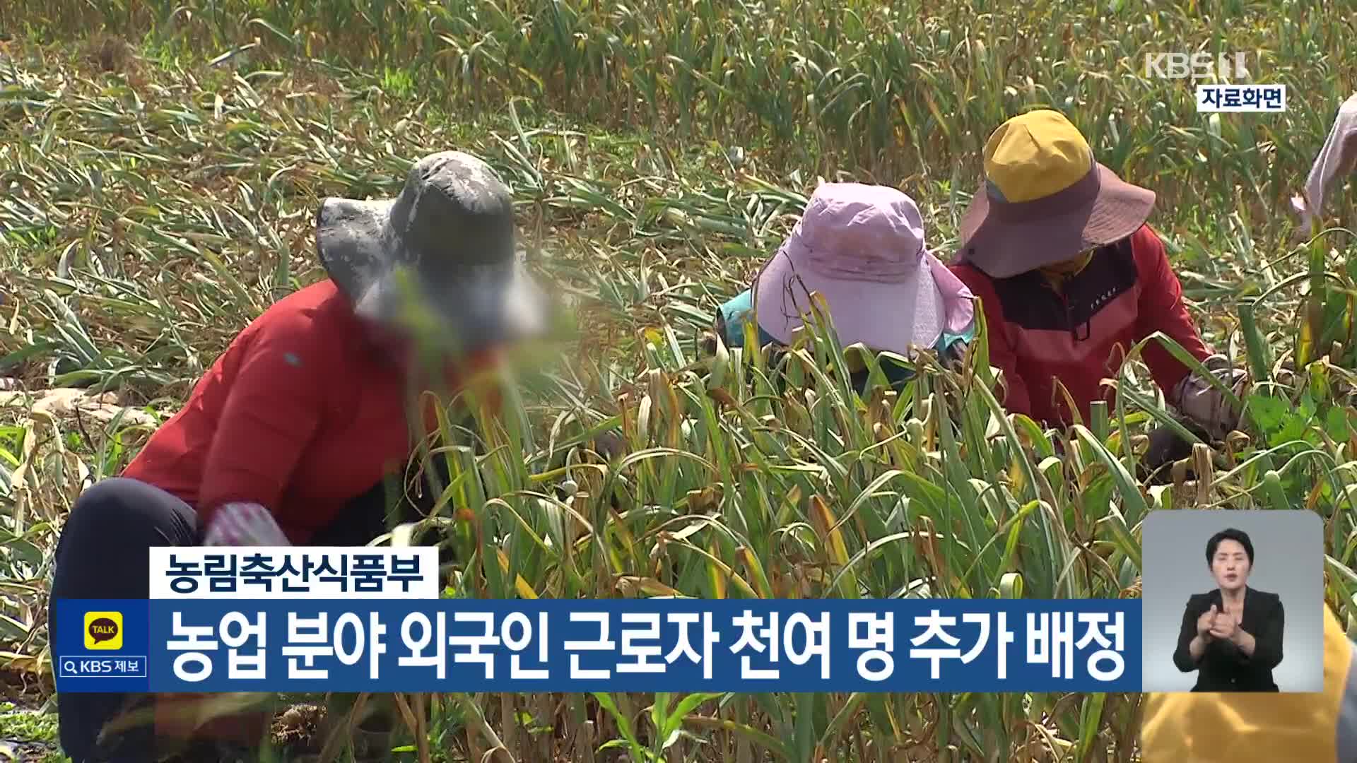 농림축산식품부, 농업 분야 외국인 근로자 천여 명 추가 배정