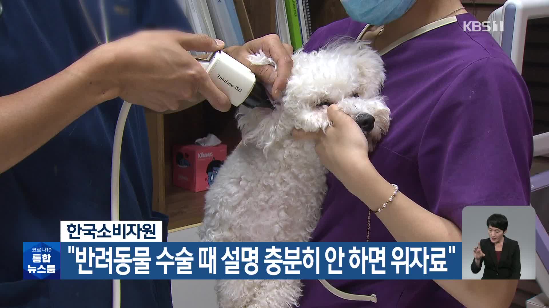 한국소비자원 “반려동물 수술 때 설명 충분히 안 하면 위자료”